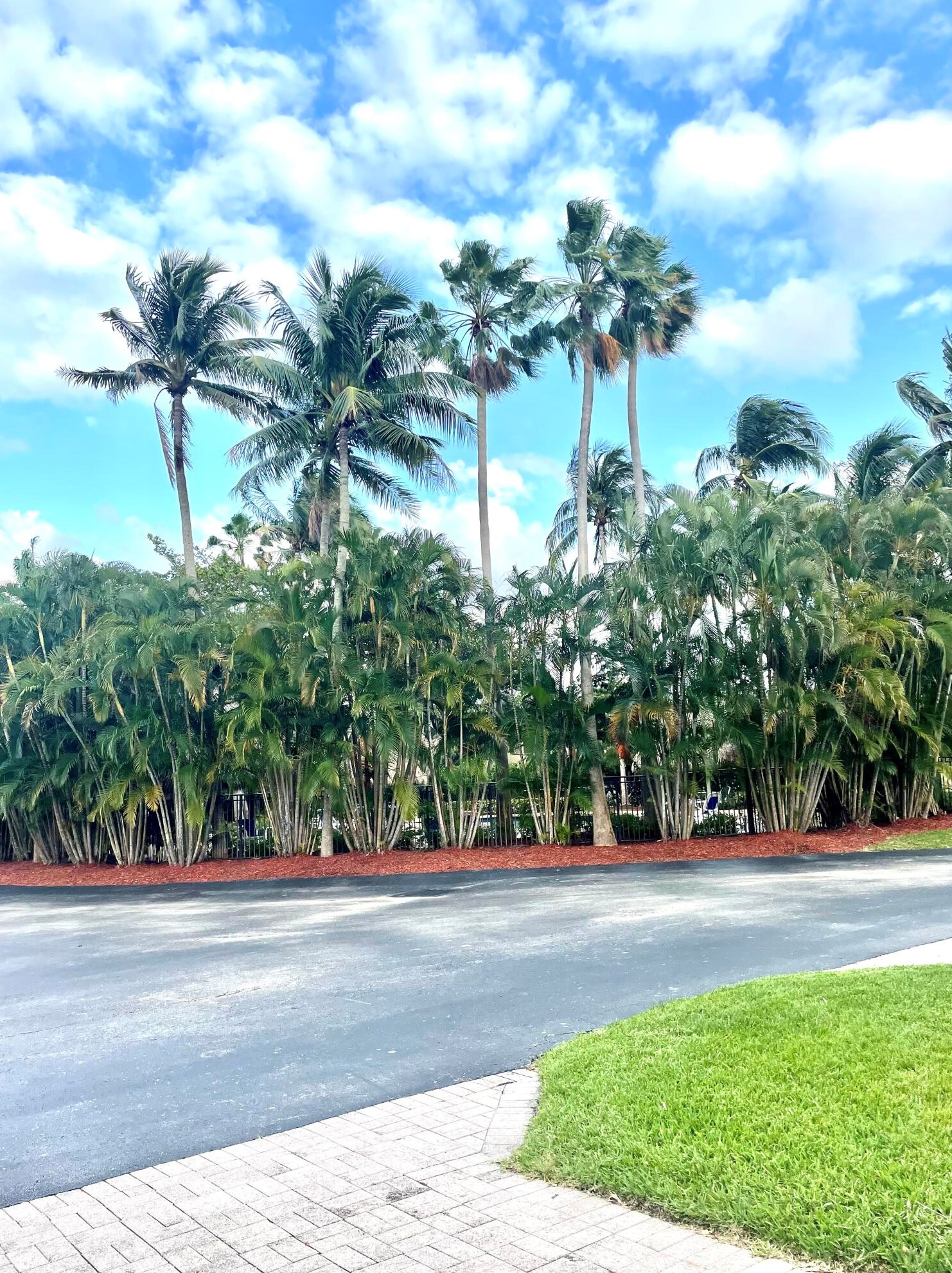 6691 Montego Bay Blvd, Boca Raton FL  33433-4054 exterior