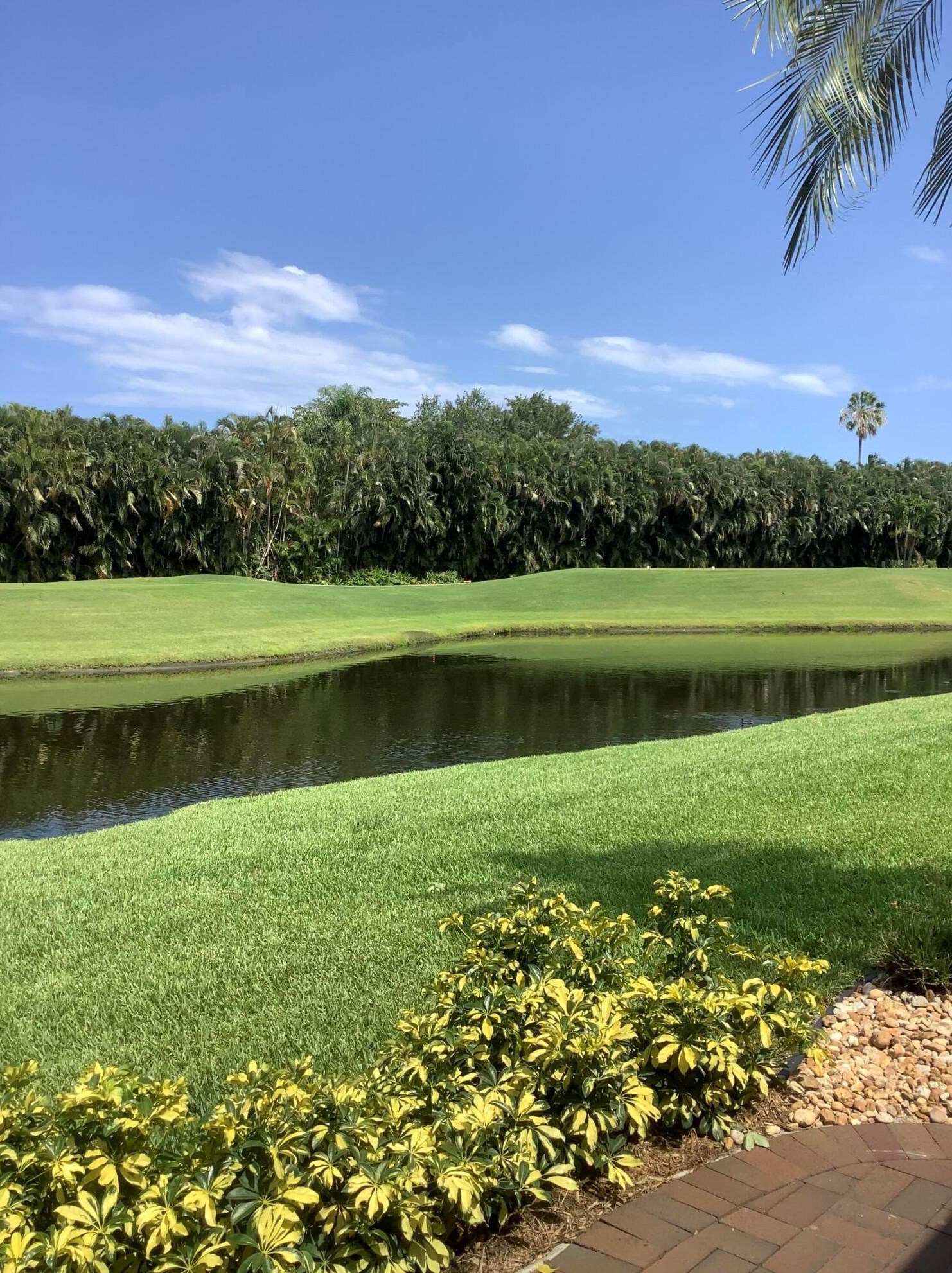 19600 Sawgrass Cir, Boca Raton, FL 33434-3383
