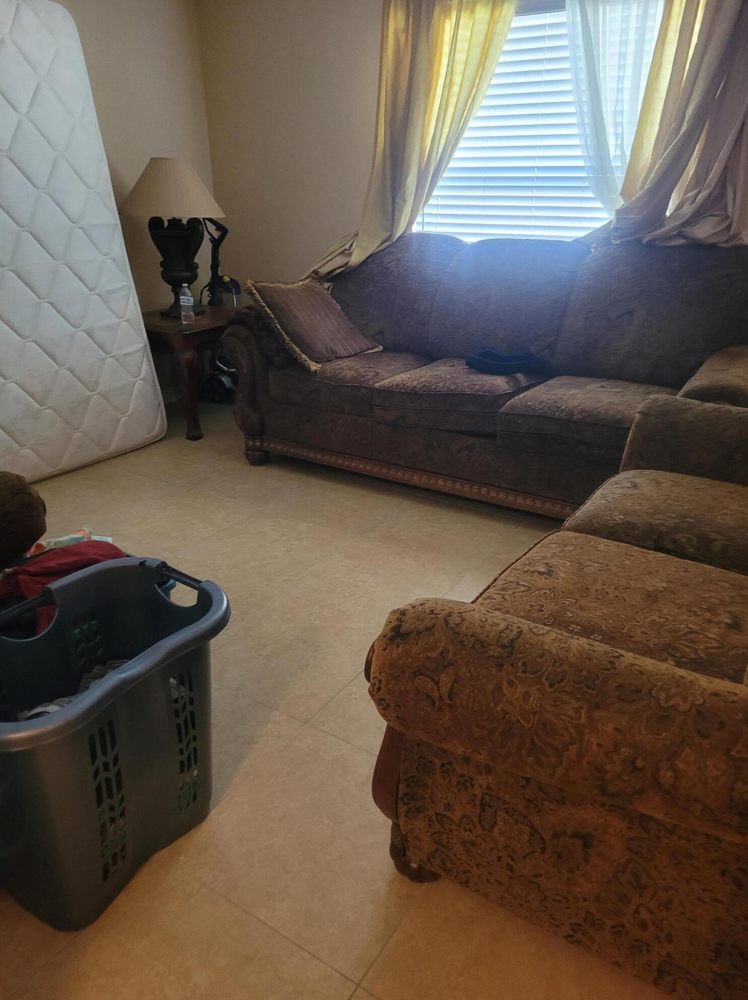 5537 Shady Pine St, Jacksonville FL  32244-8546 exterior