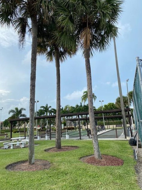 824 Sky Pine Way #c2, West Palm Beach, FL 33415