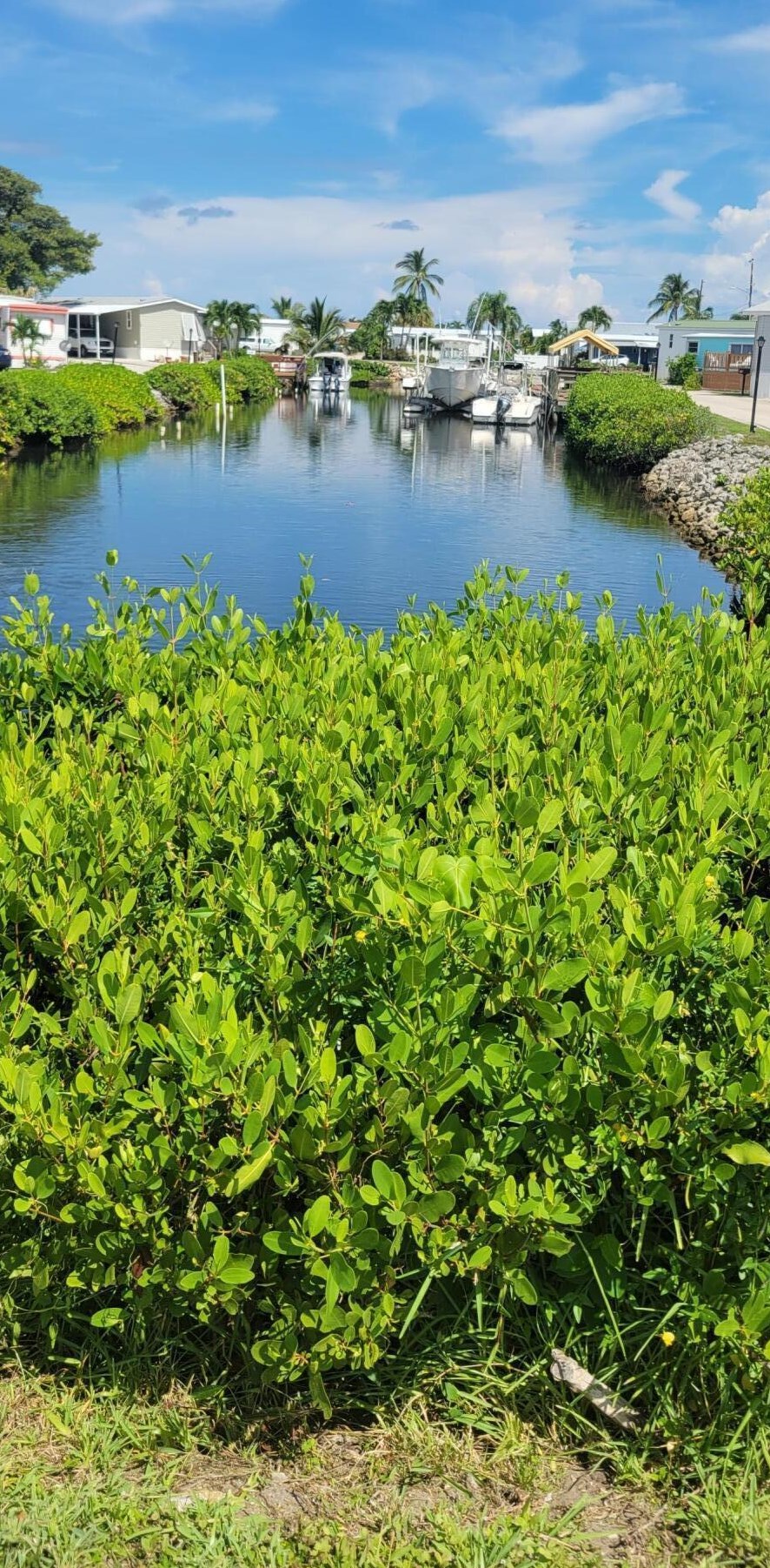 22 S Loafing St, Lake Worth, FL 33462
