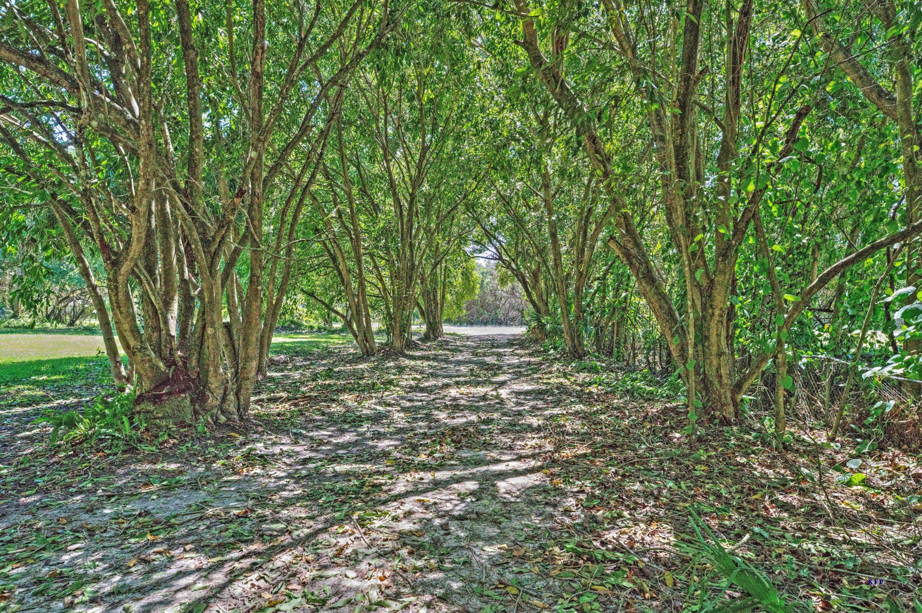 1415 Darling St, Stuart, FL 34997-6409