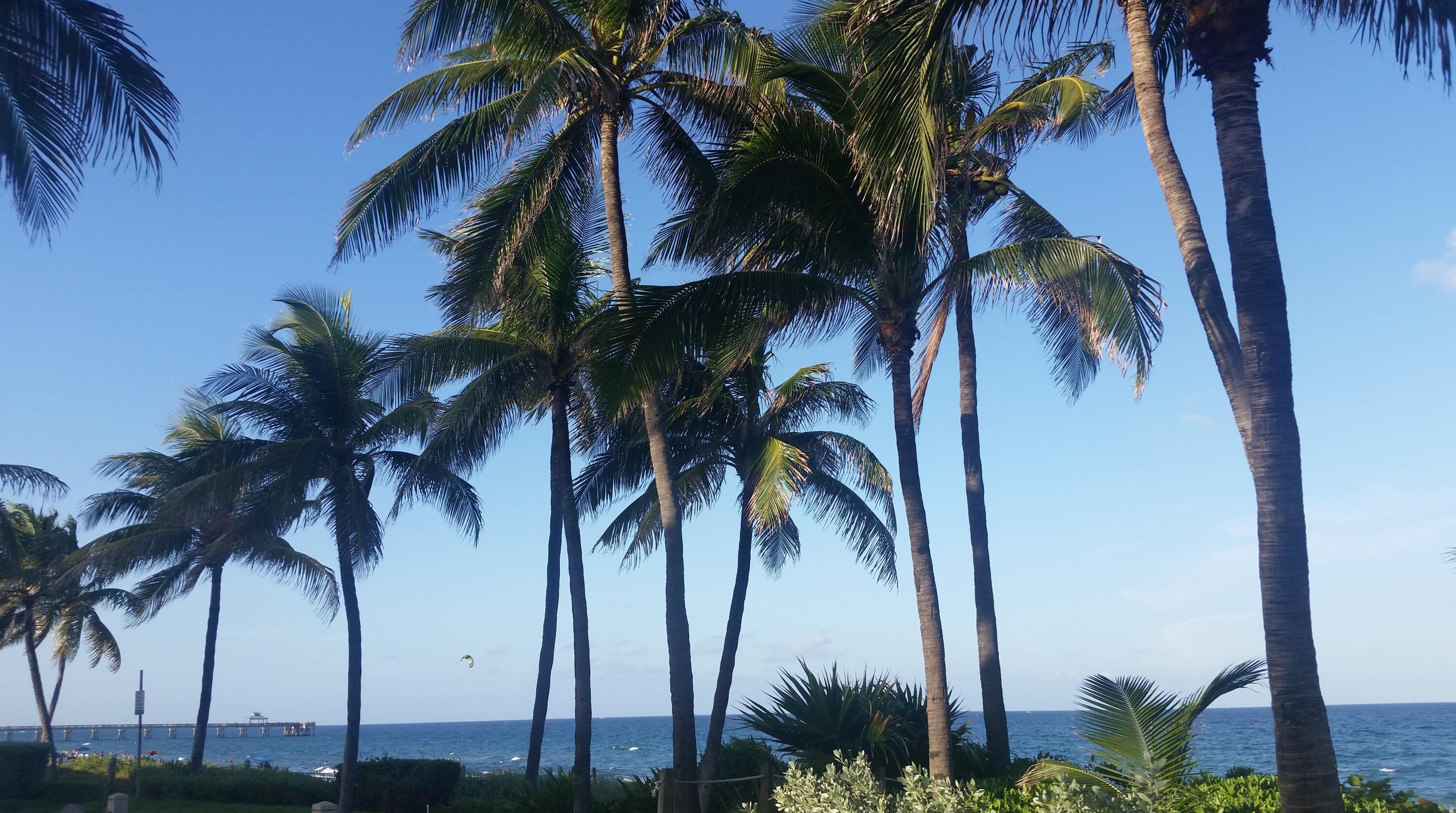 8633 Boca Glades Blvd, Boca Raton FL  33434-4049 exterior