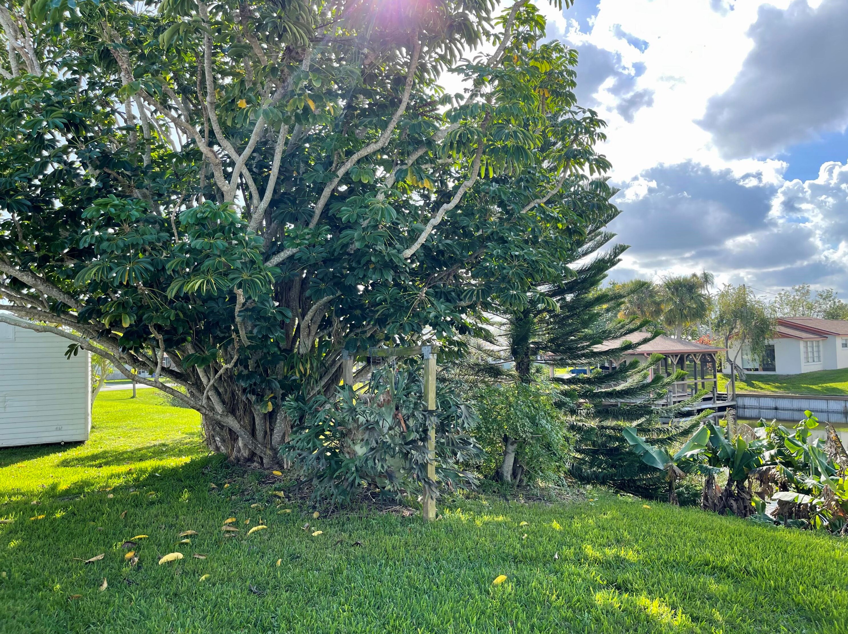 3611 23 Ave, Okeechobee FL 34972-1539 exterior