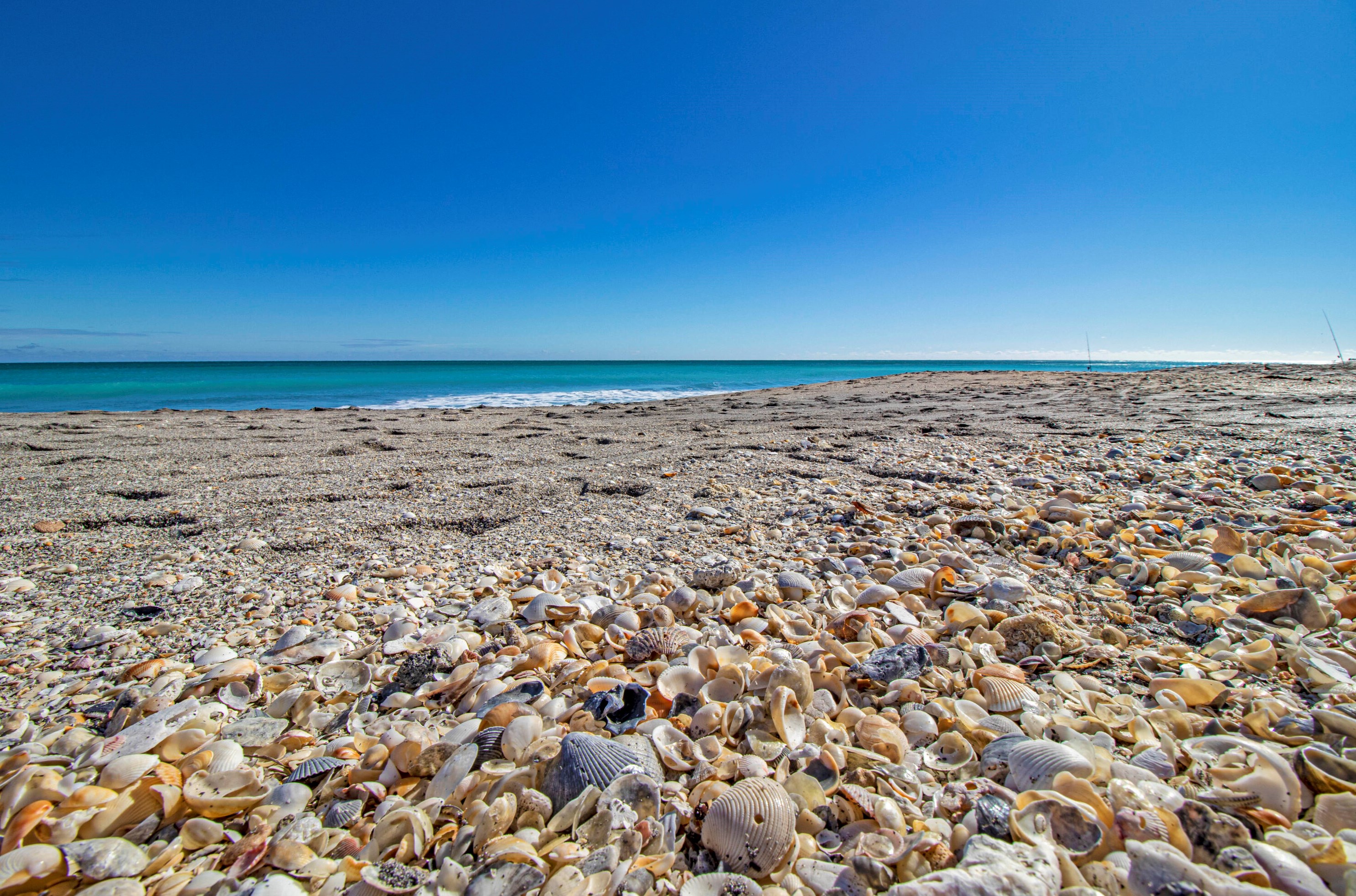 7698 Swan Ave, Hobe Sound FL  33455-5947 exterior
