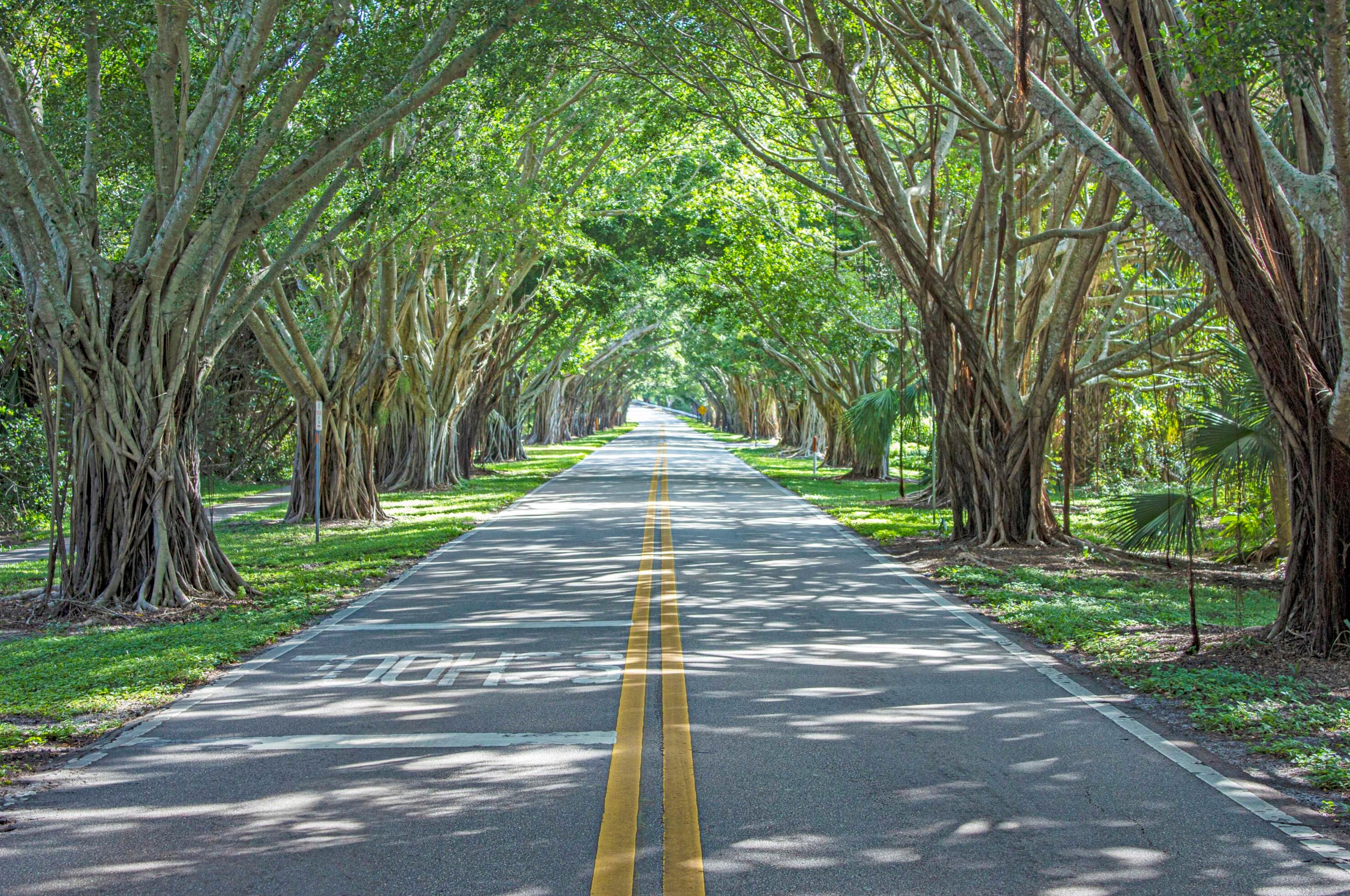 7698 Swan Ave, Hobe Sound FL  33455-5947 exterior