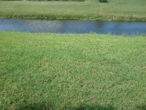 12471 Guilford Way, West Palm Beach, FL 33414-4903