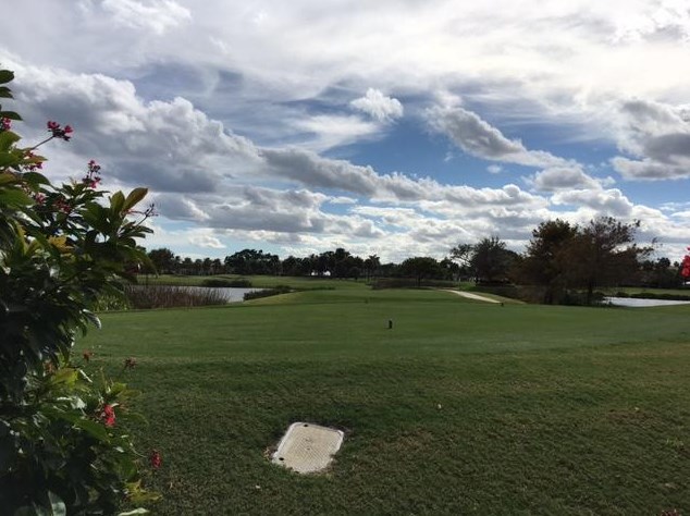 1668 Sabal Palm Dr, Boca Raton FL  33432-7423 exterior