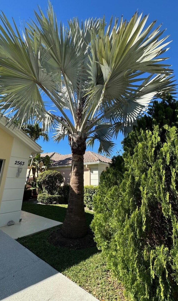 2563 James River Rd, West Palm Beach, FL 33411-5751
