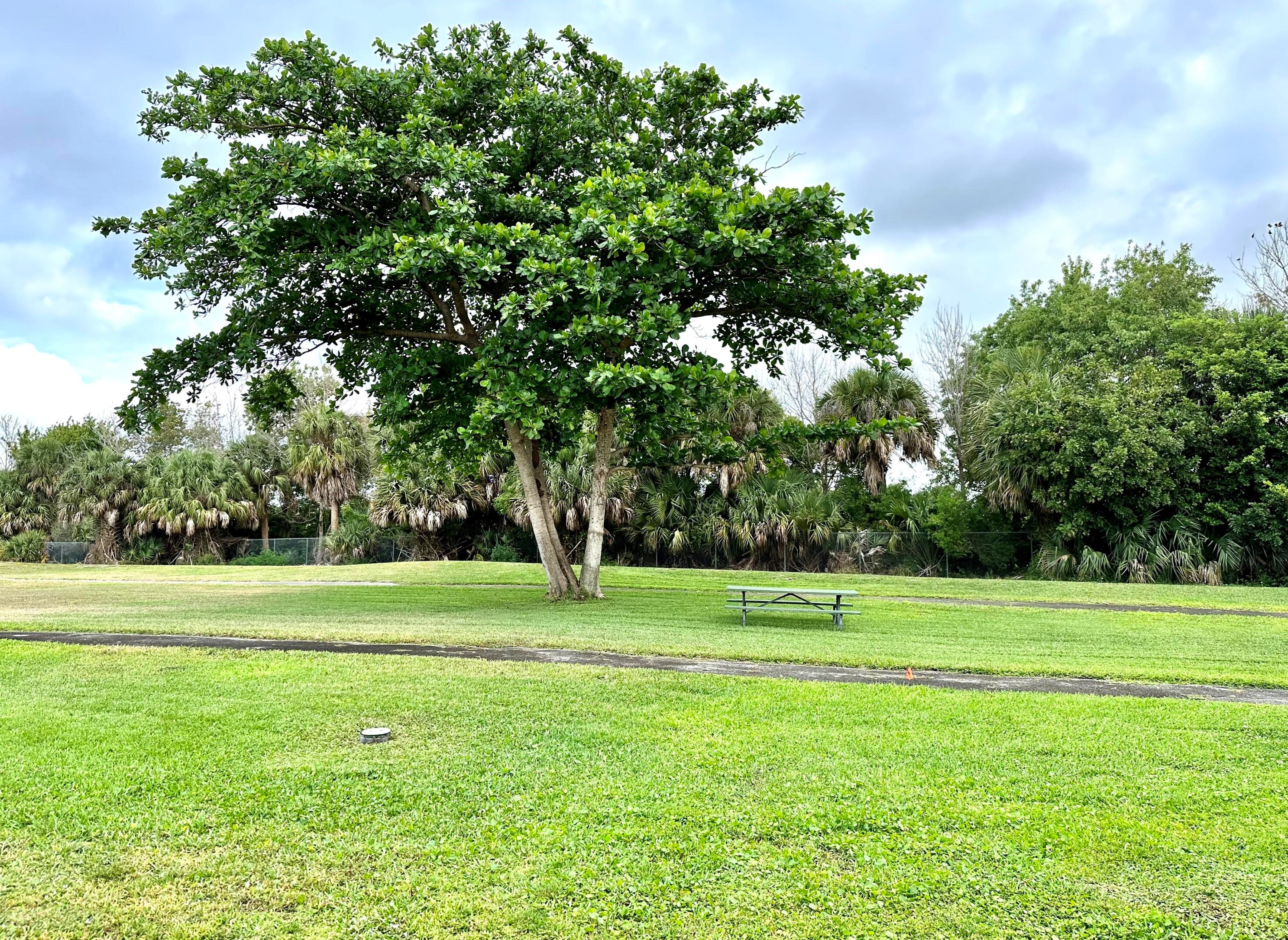1426 Meadows Cir W, Boynton Beach, FL 33436