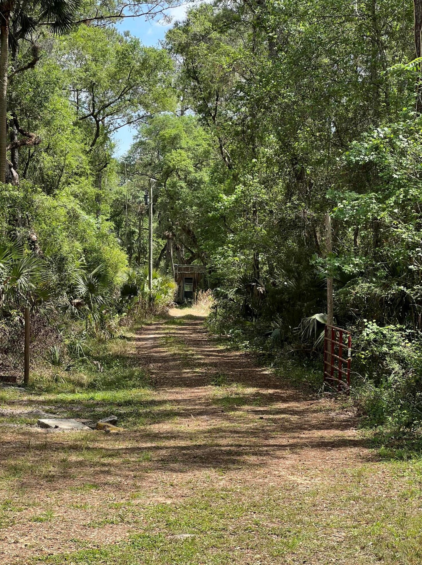 6301 E Holly Hill Ct, Hernando, FL 34442