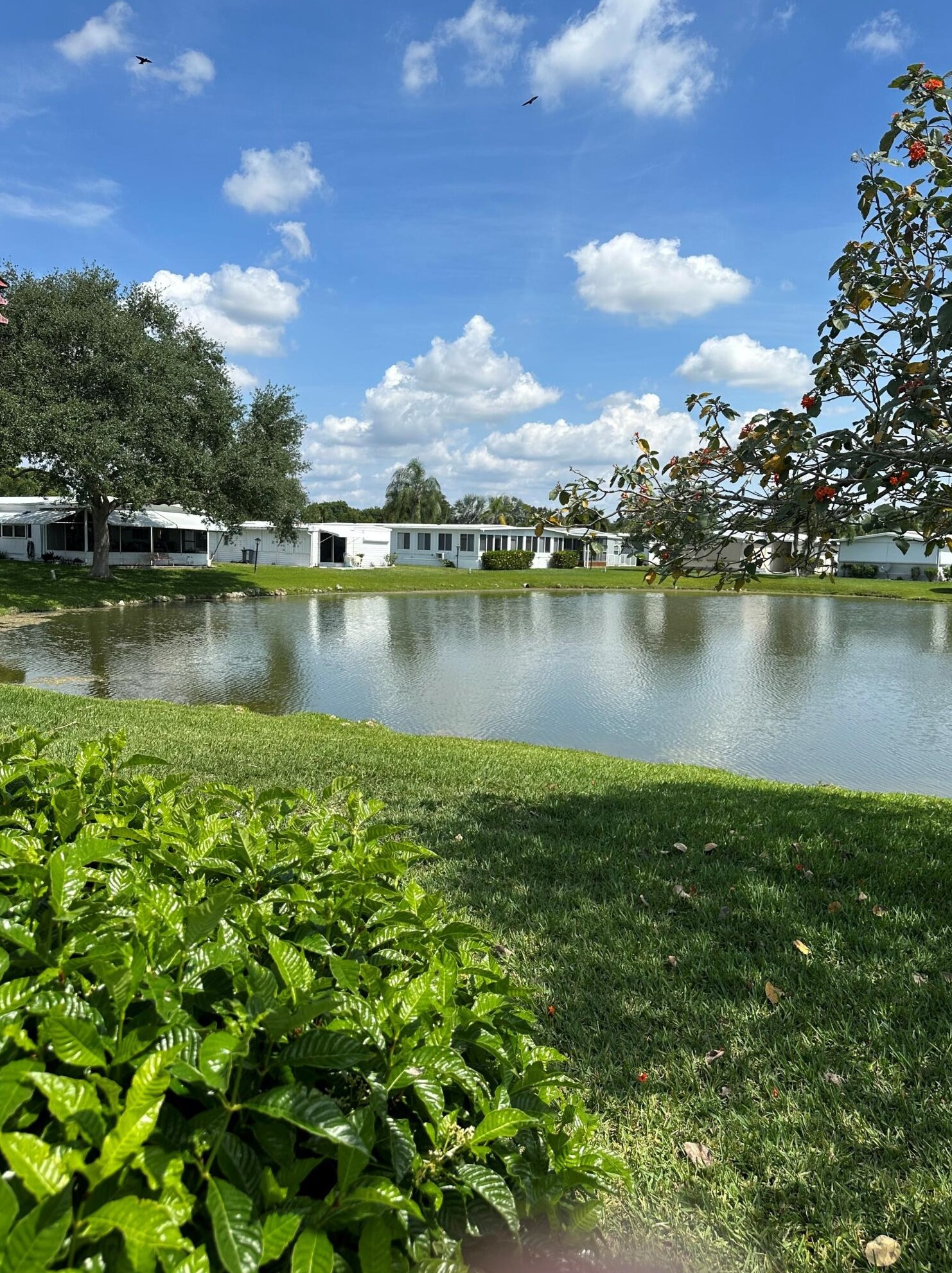 8369 South St, Boca Raton, FL 33433-1572
