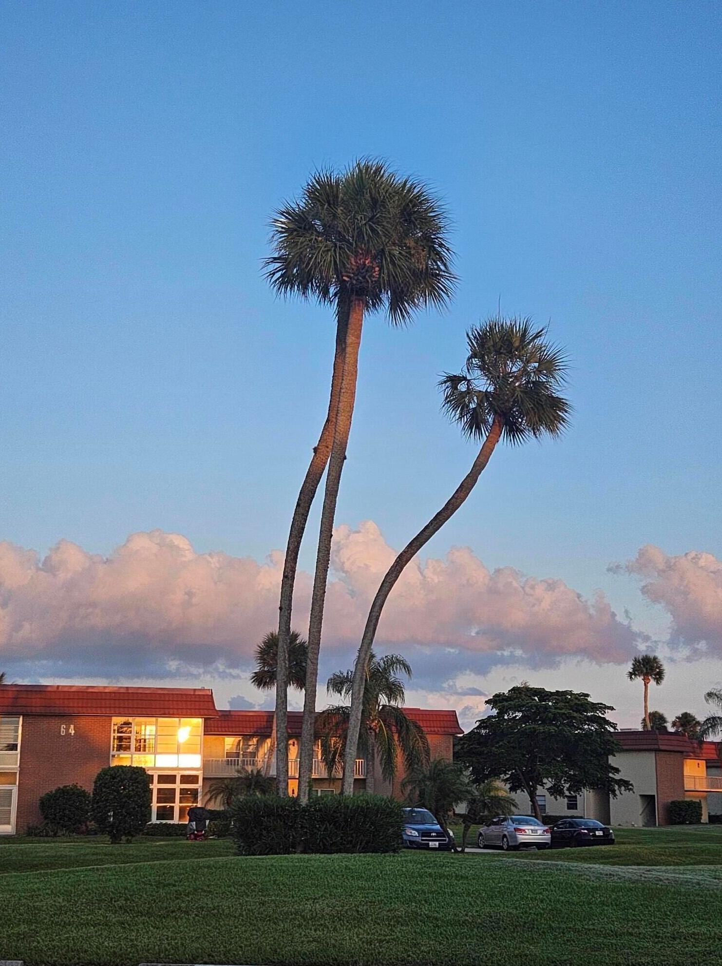 62 Woodland Dr #203, Vero Beach, FL 32962