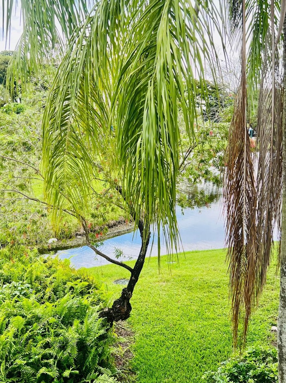 1202 Bridgewood Pl, Boca Raton FL 33434-4161 exterior