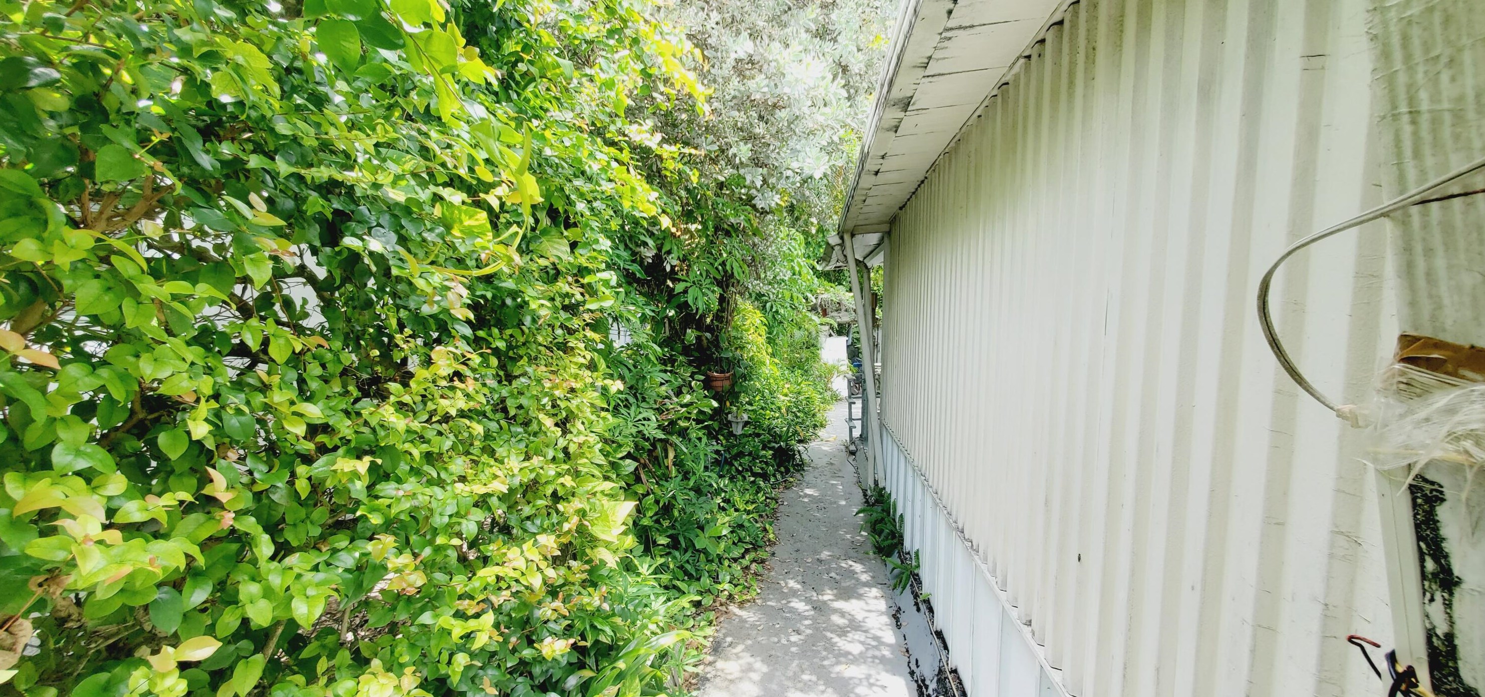 2620 205 St, Miami FL 33056-1227 exterior