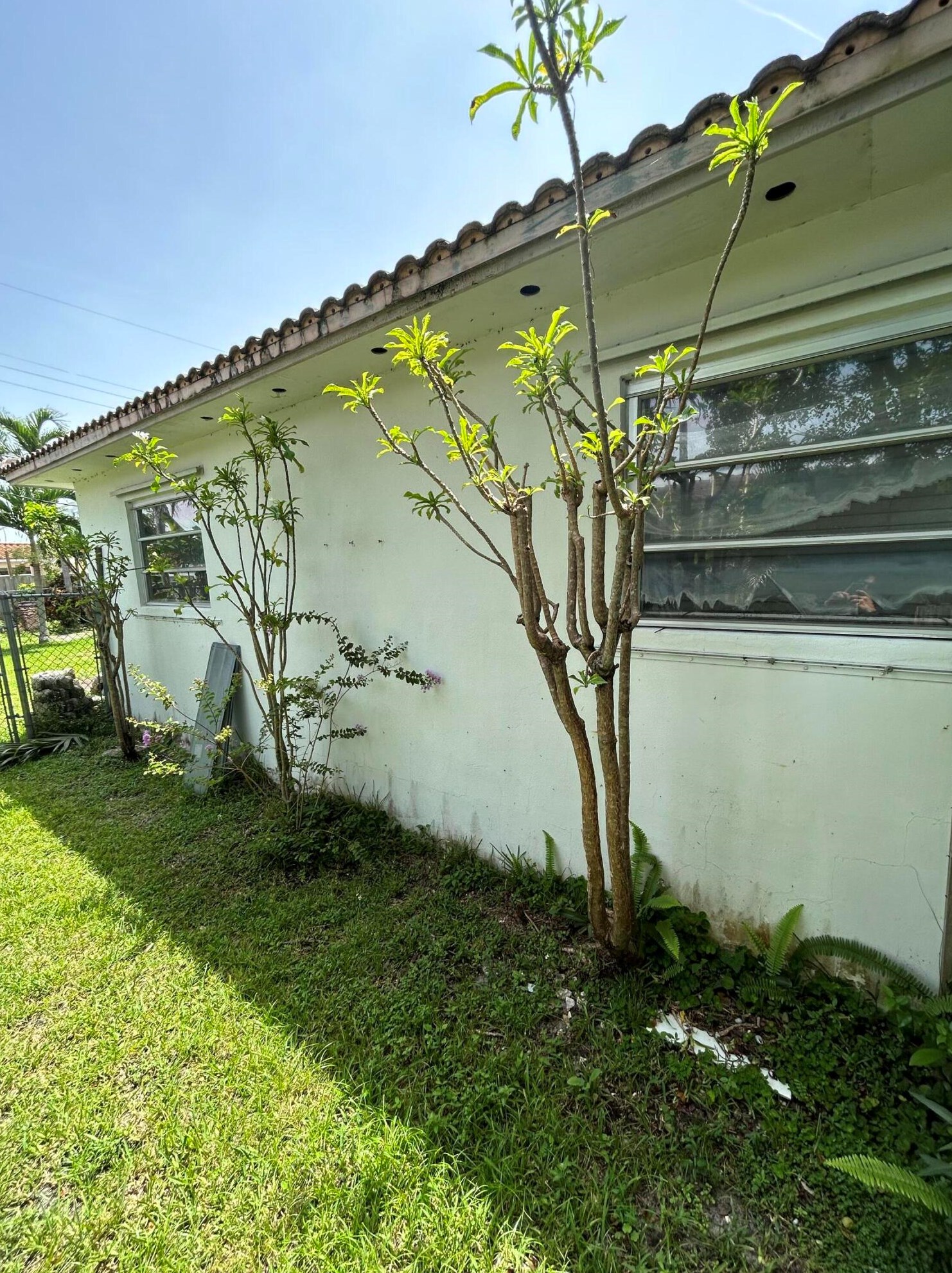 3254 Lincoln St, Hollywood FL 33021-5931 exterior