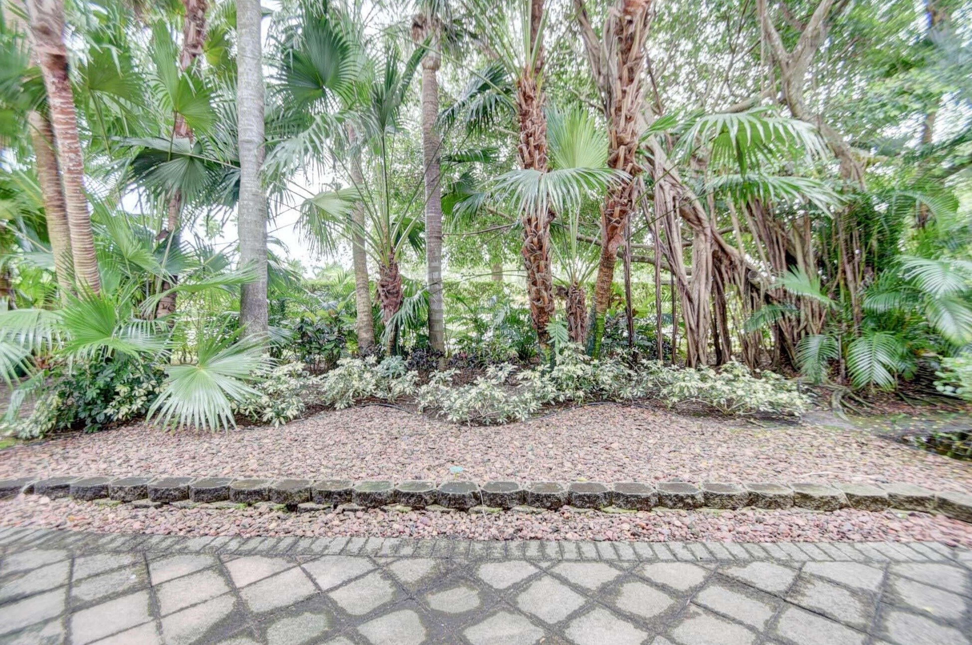 6192 Island Bnd, Boca Raton FL  33496-3269 exterior