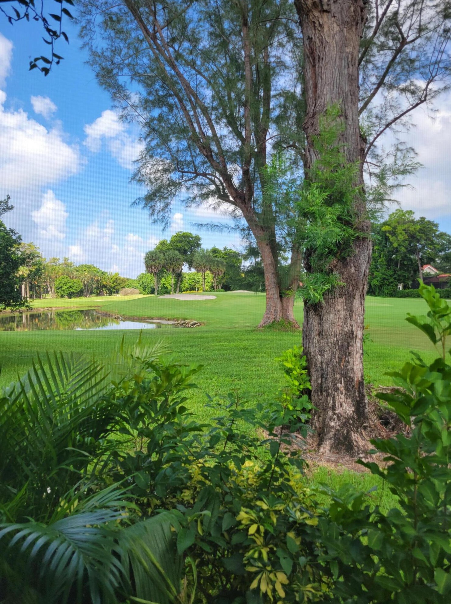 8553 Casa Del Lago, Boca Raton, FL 33433-2107