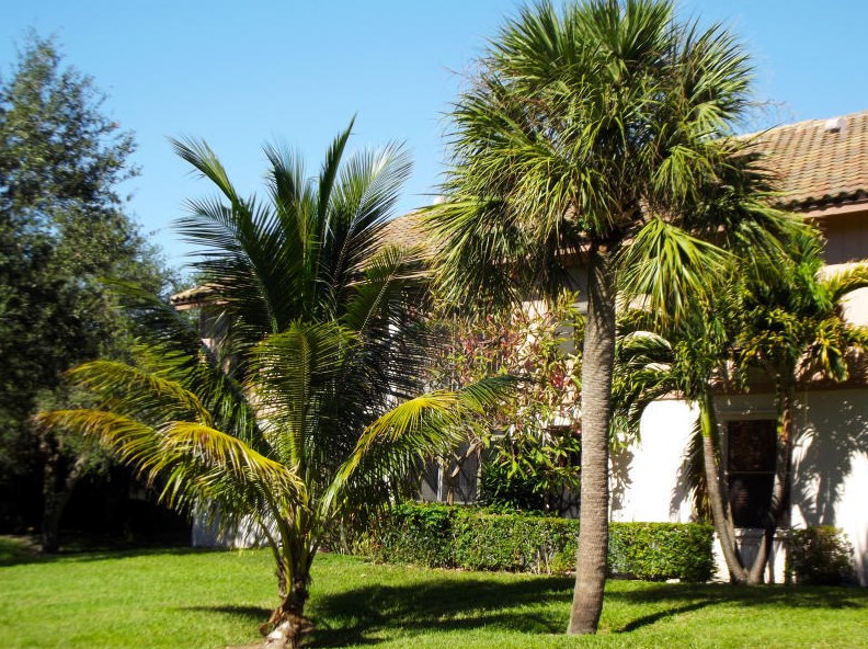 3325 Jaywood Terrace #j-210, Boca Raton, FL 33431