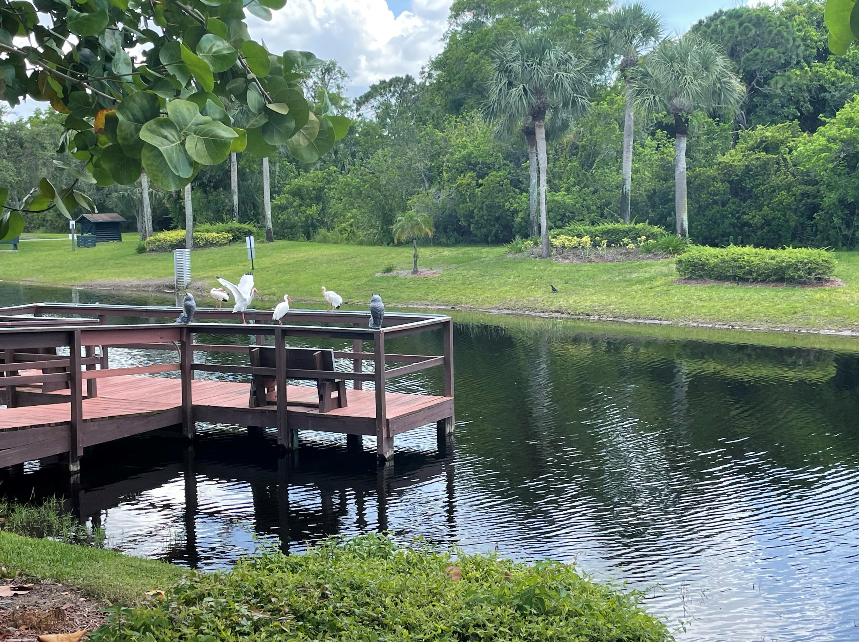 7048 Delegate St, Hobe Sound FL  33455-6022 exterior