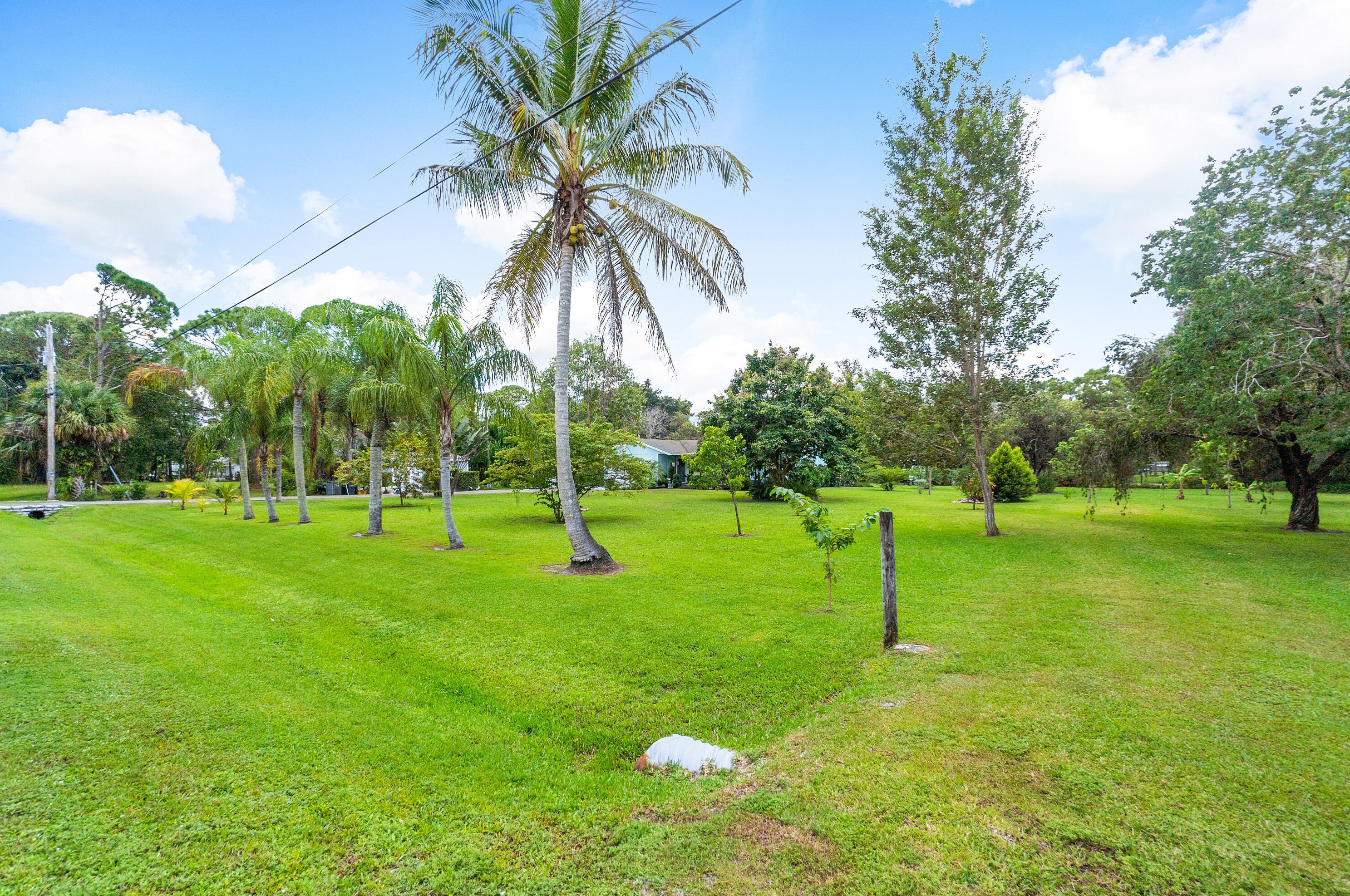 13886 158th St, Jupiter FL  33478-8515 exterior