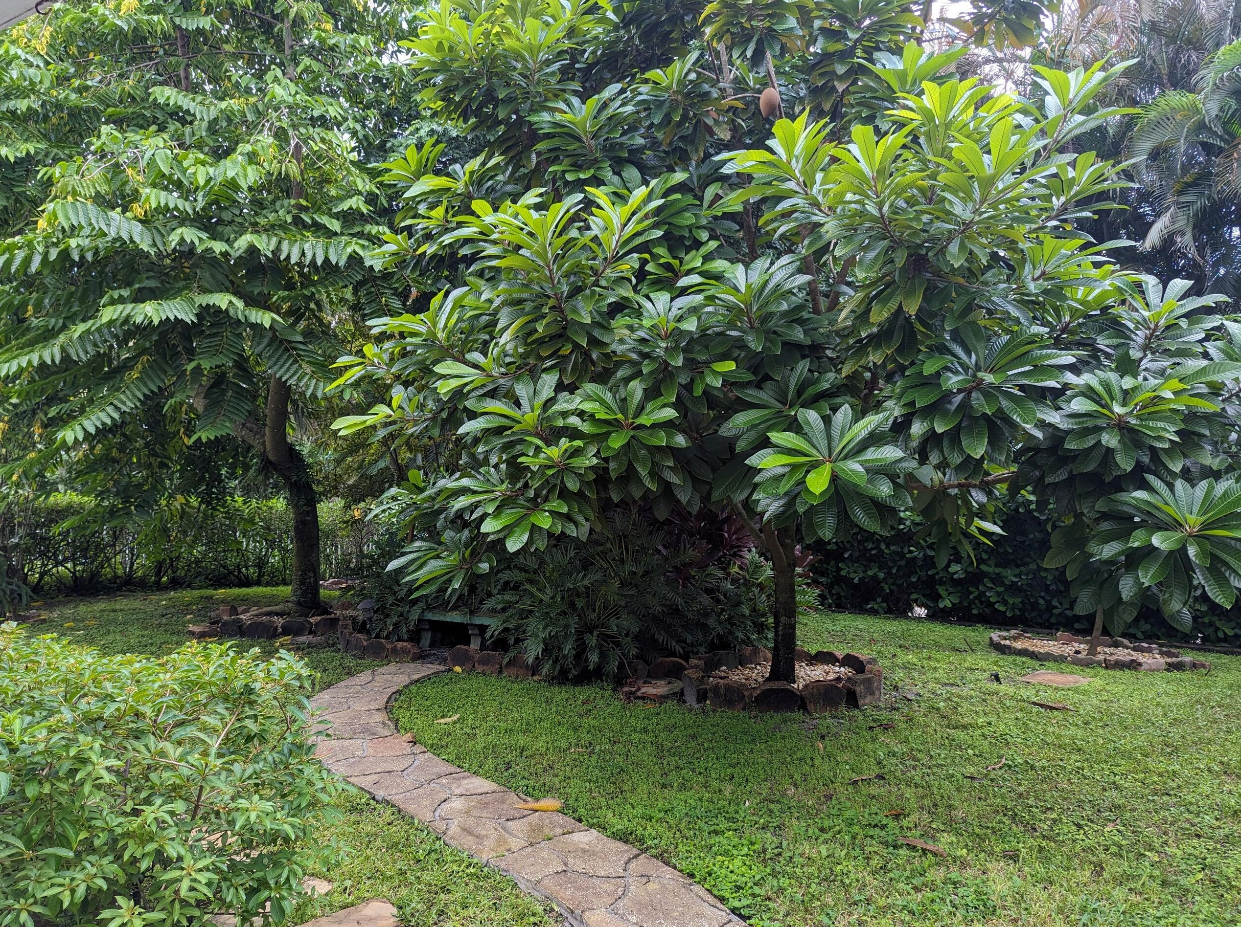 11185 Harbour Spg Cir, Boca Raton FL 33428-1246 exterior