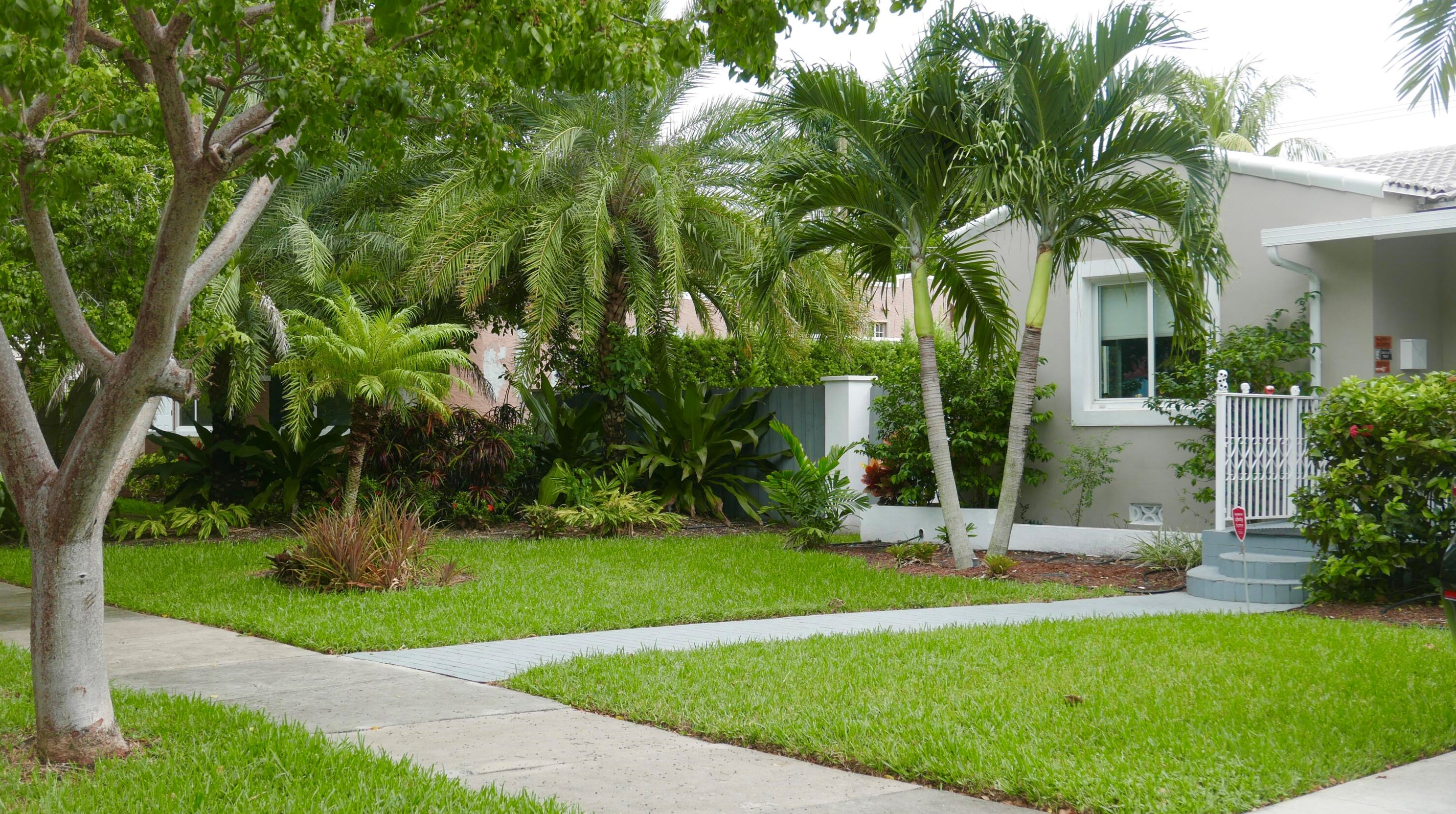 1636 Jackson St, Hollywood FL  33020-5110 exterior