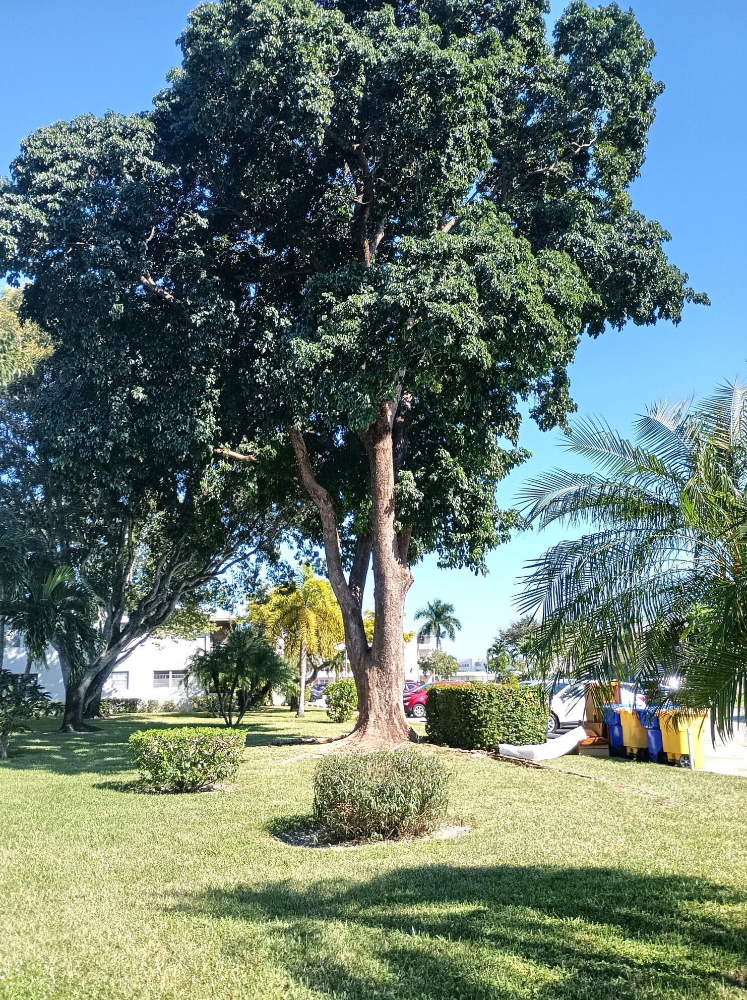 352 Windsor P, West Palm Beach, FL 33417