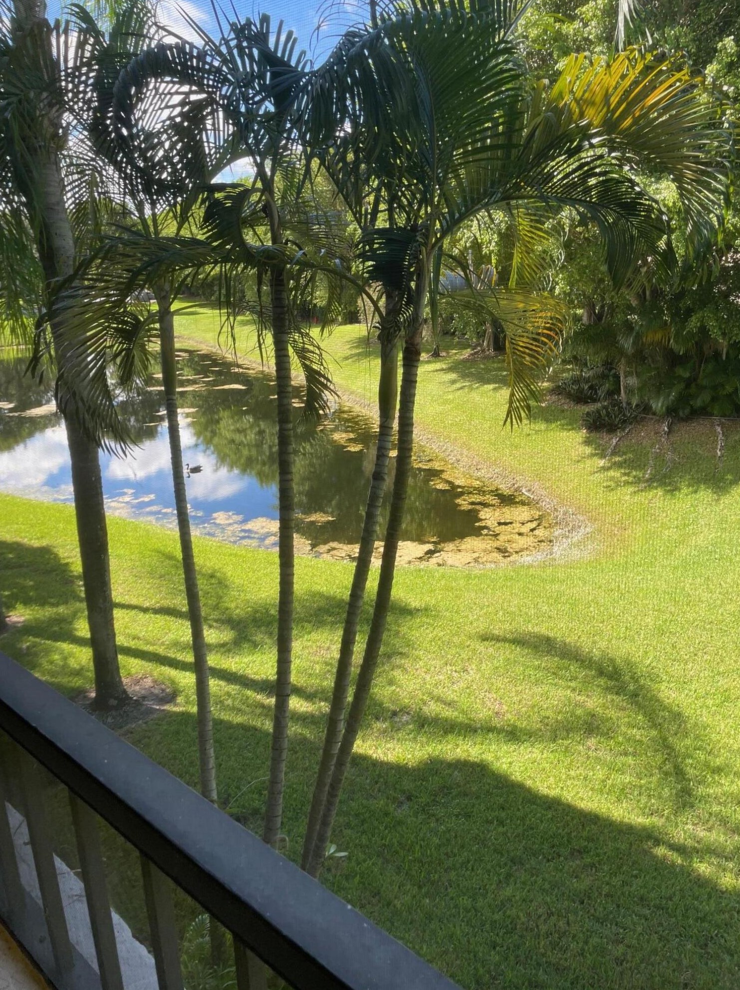 7519 La Paz Blvd Apt 203, Boca Raton, FL 33433