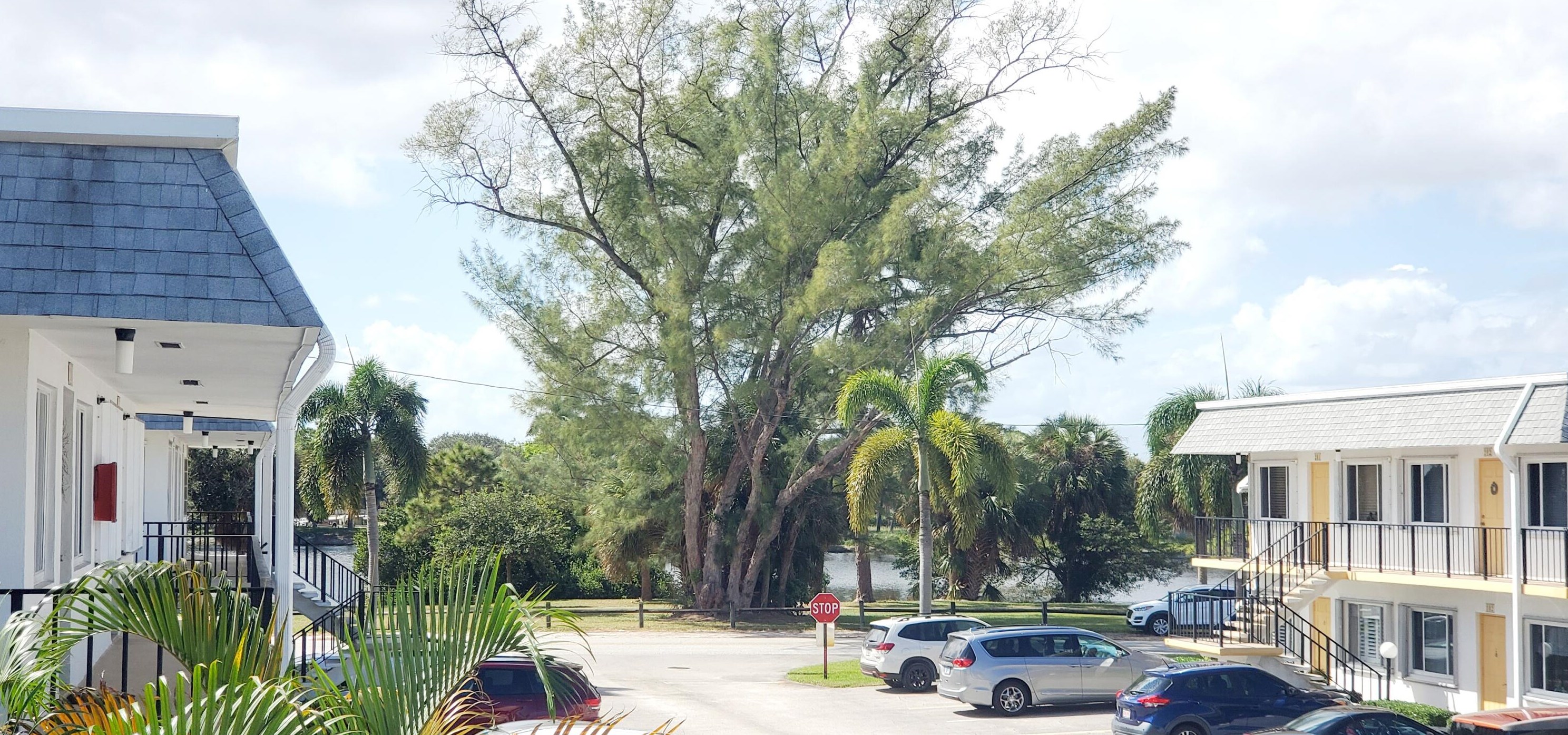 3040 Lake Osborne Dr #210, Lake Worth, FL 33461