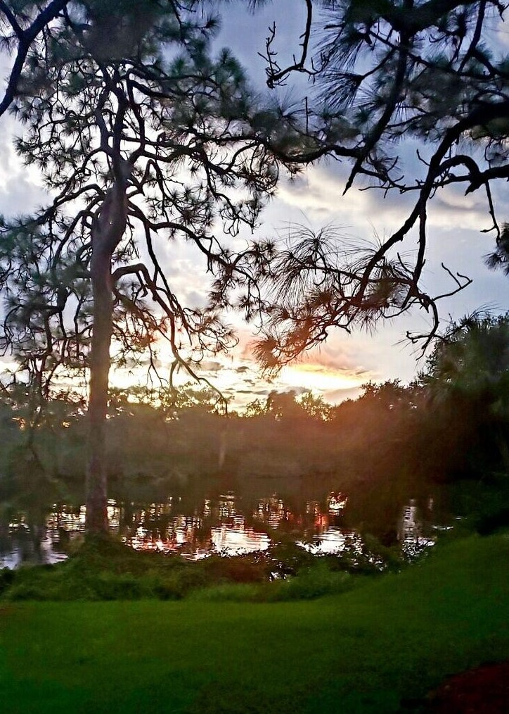 81 Camino Del Rio, Fort Pierce, FL 34952