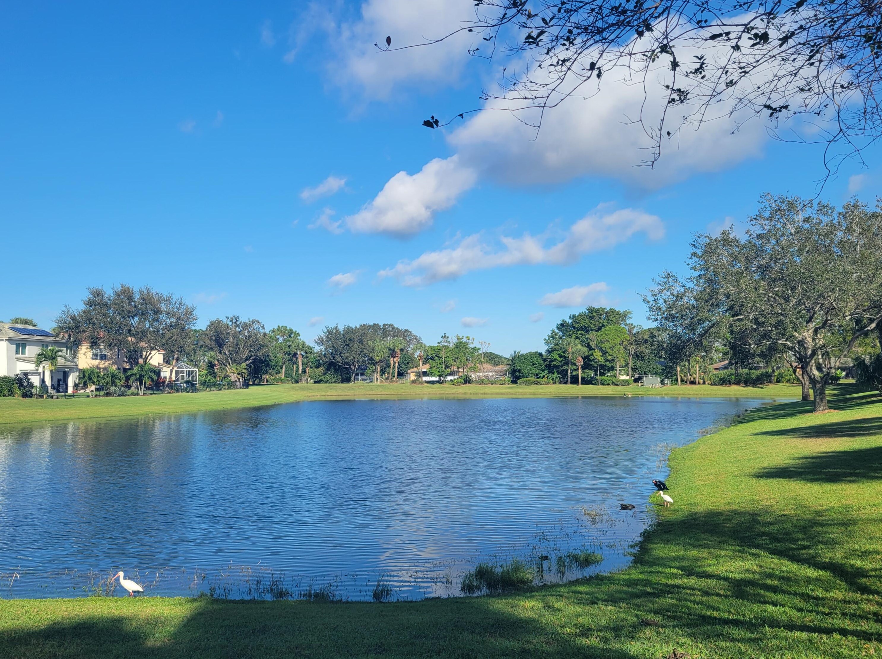 209 River Bluff Ln, West Palm Beach, FL 33411