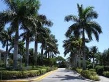 4167 N Haverhill Rd #1114, West Palm Beach, FL 33417
