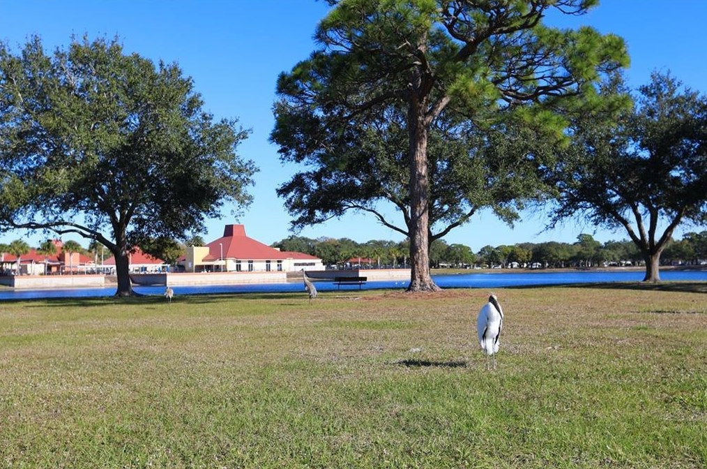 467 Egret Cir, Sebastian FL  32976-7483 exterior