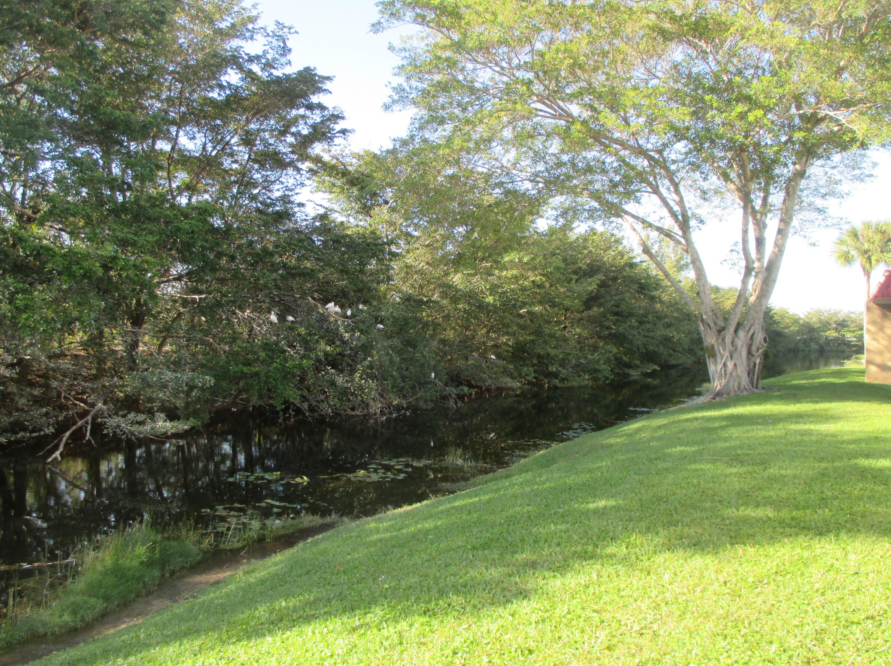 200 Lake Carol Dr, West Palm Beach, FL 33411