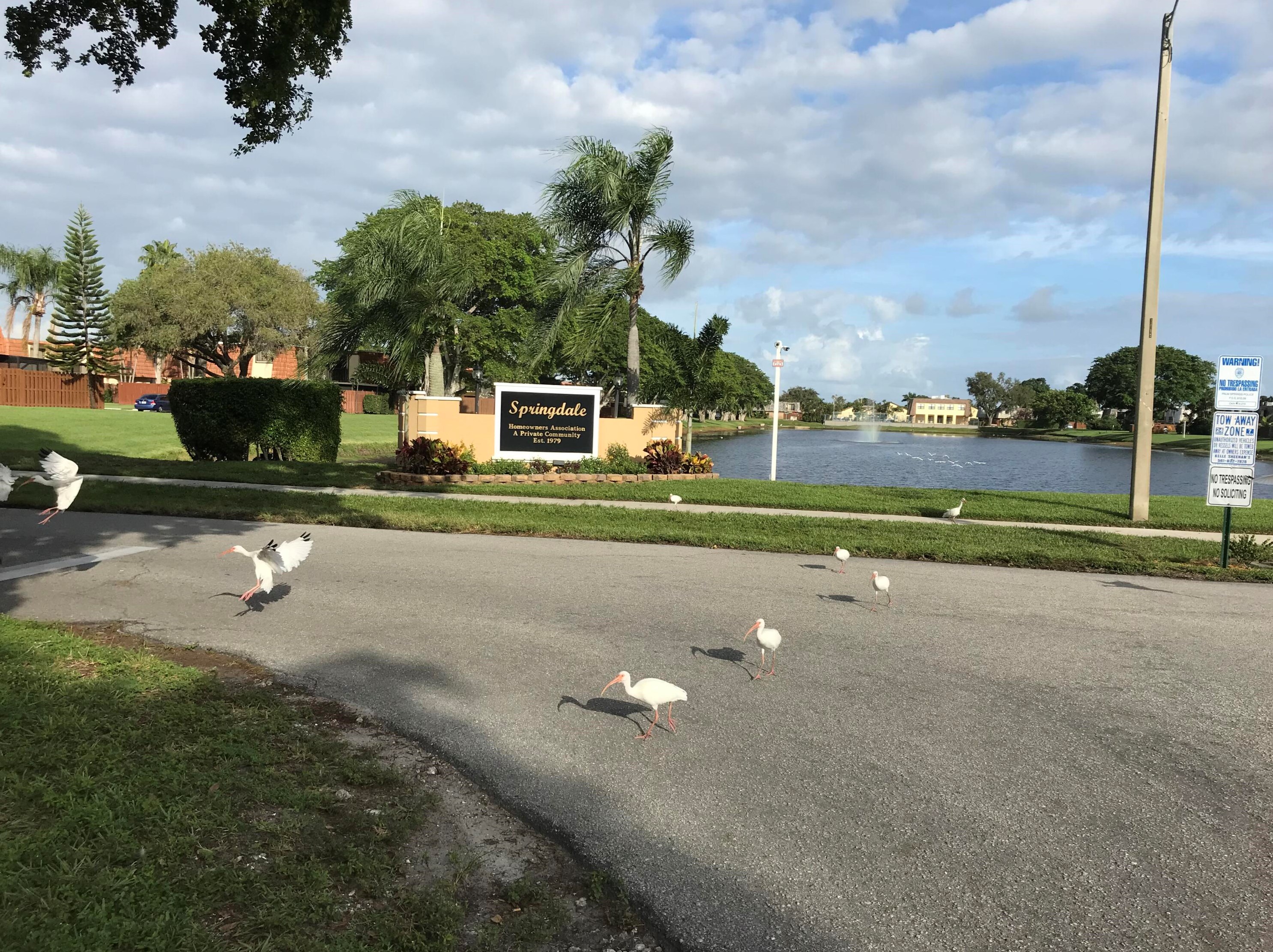 192 Springdale Cir, Lake Worth, FL 33461-6328
