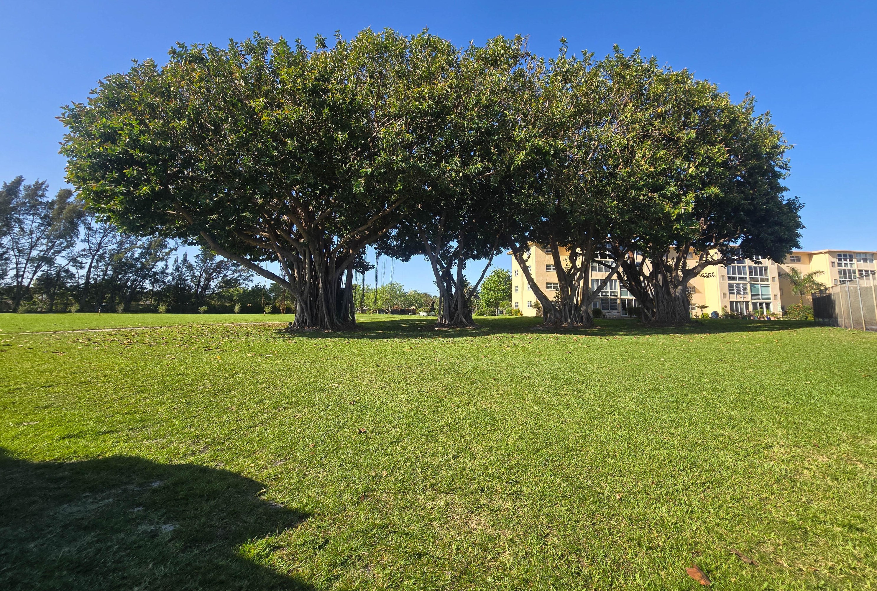 2600 1st Ln, Boynton Beach FL  33435-1955 exterior