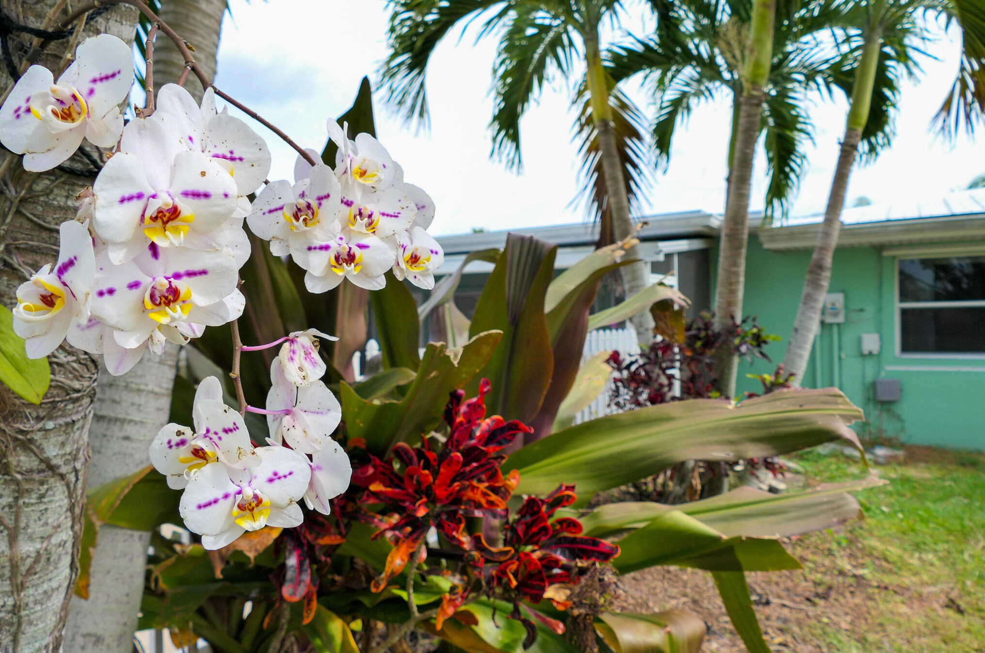 1514 Westmoreland Blvd, Fort Pierce FL  34952-5748 exterior