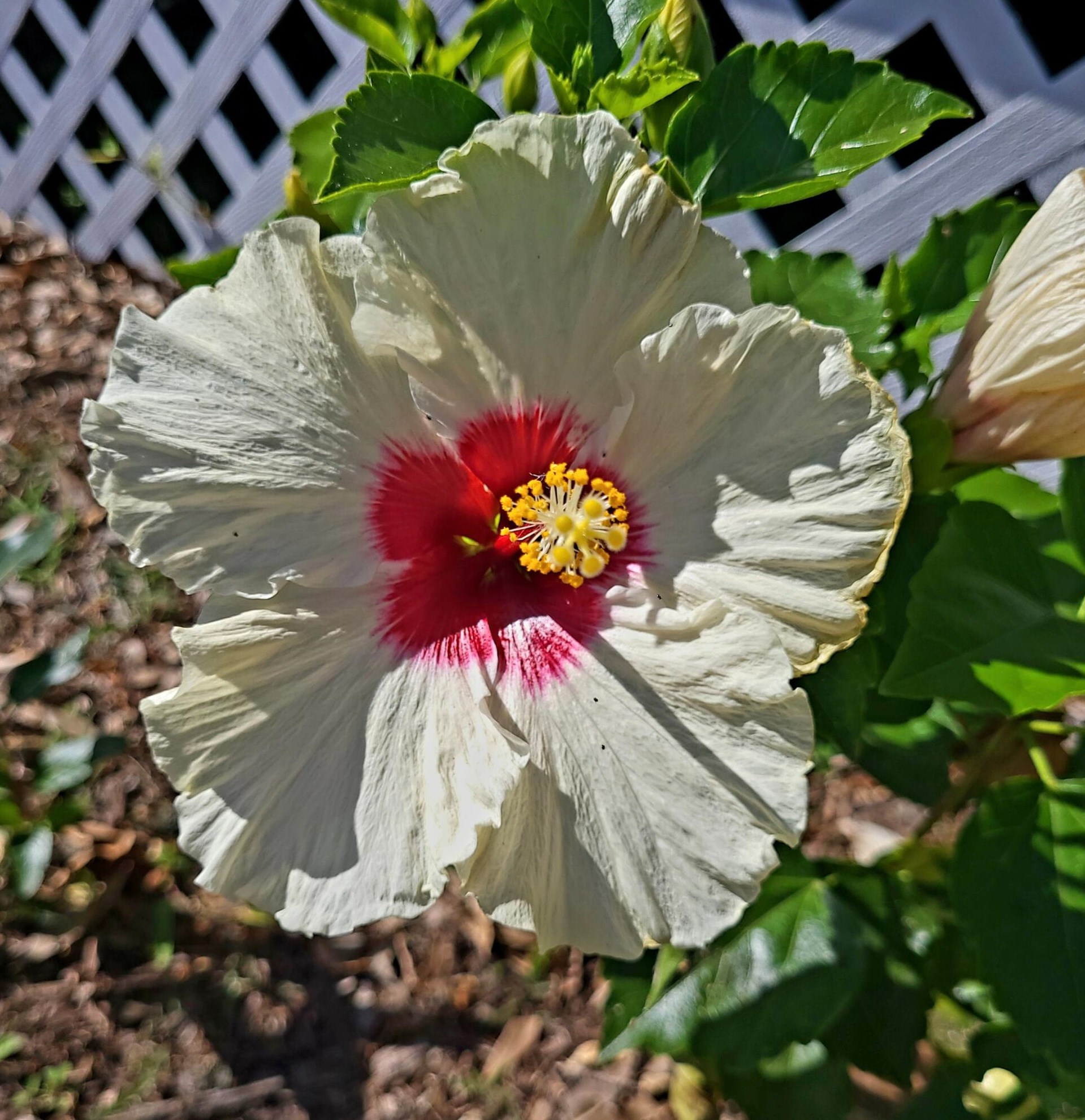 1190 Linda Rd, Okeechobee FL 34974-0429 exterior