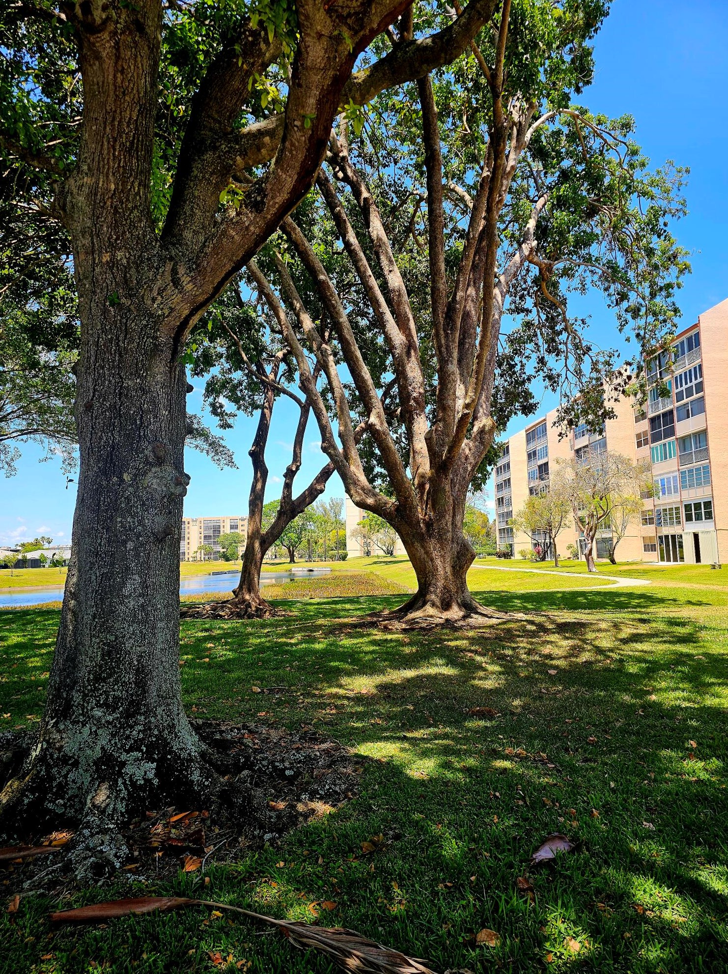 14623 Bonaire Blvd #510, Delray Beach, FL 33446