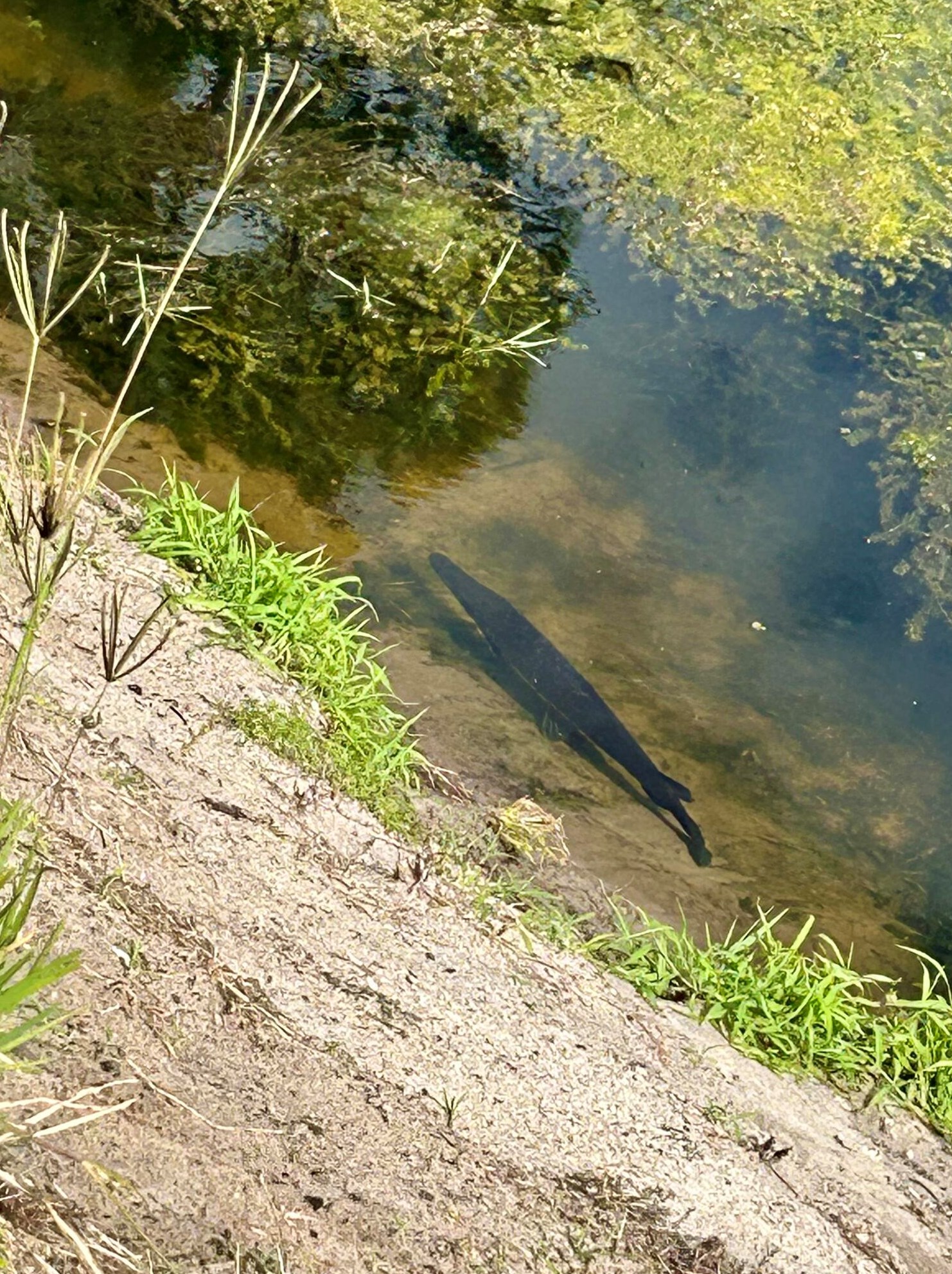 4375 Mockingbird Dr, Boynton Beach FL 33436-2635 exterior