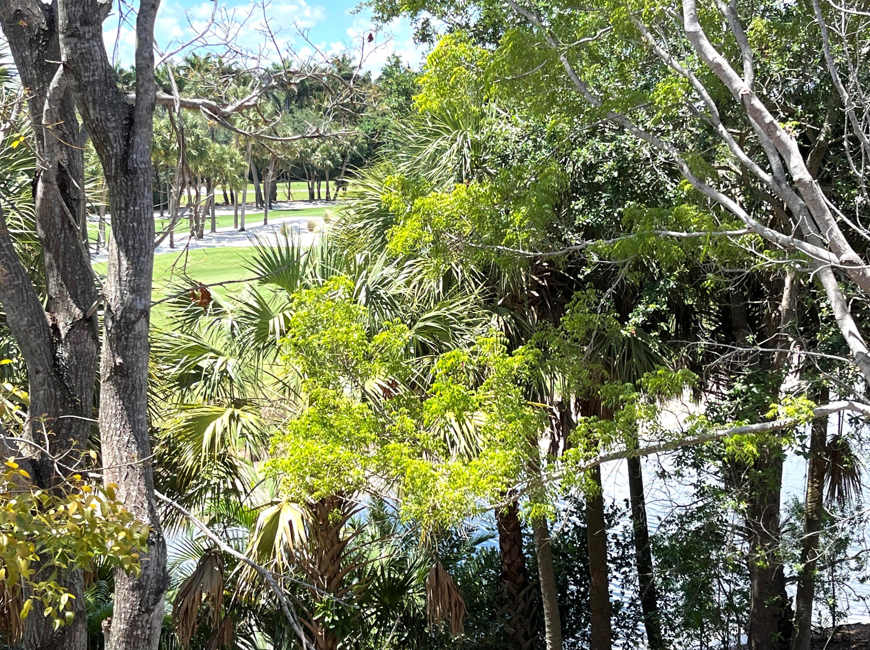 6565 Emerald Dunes Dr #307, West Palm Beach, FL 33411