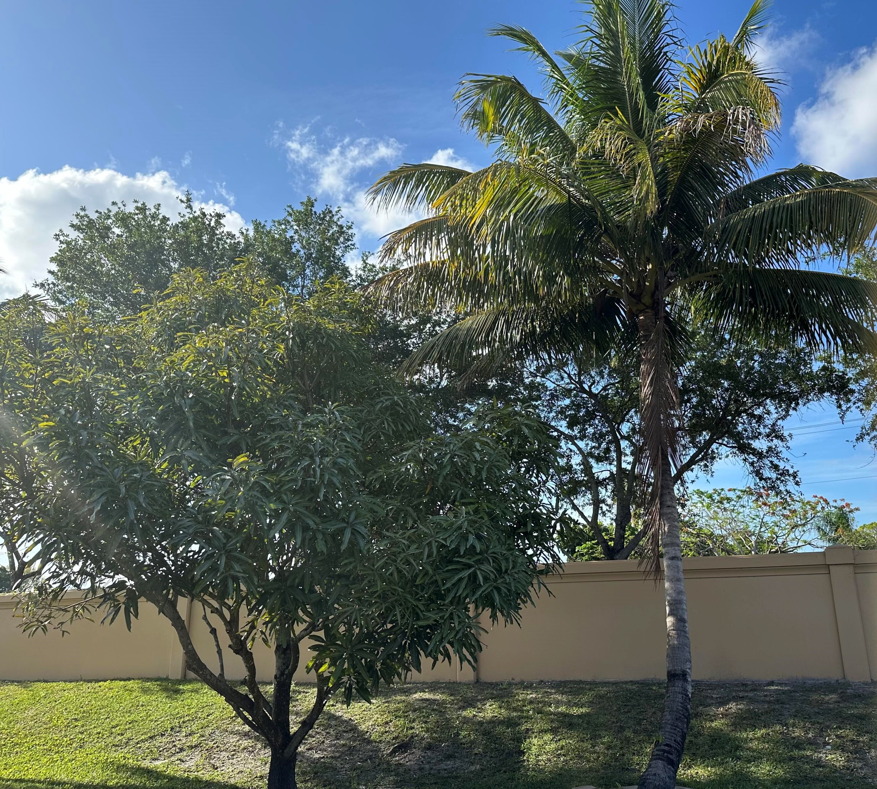 191 Catania Way, West Palm Beach, FL 33411-4313