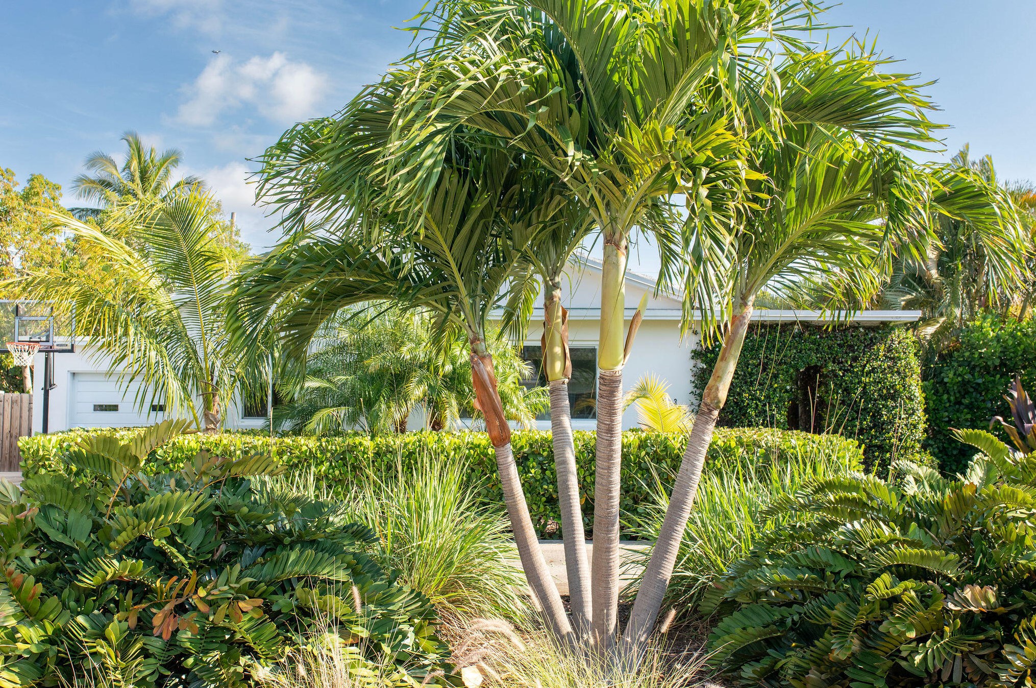 359 Ellamar Rd, West Palm Beach, FL 33405-3609