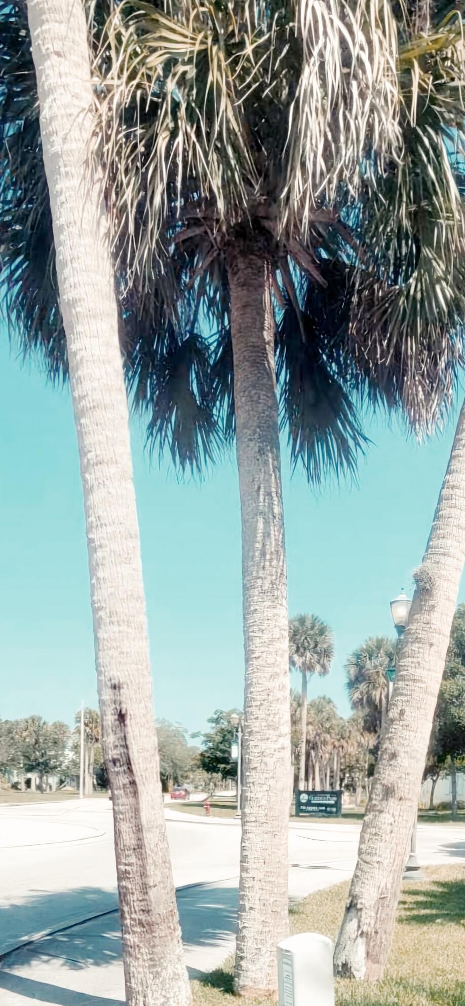 1003 Georgia Ave, Fort Pierce FL  34950-9221 exterior