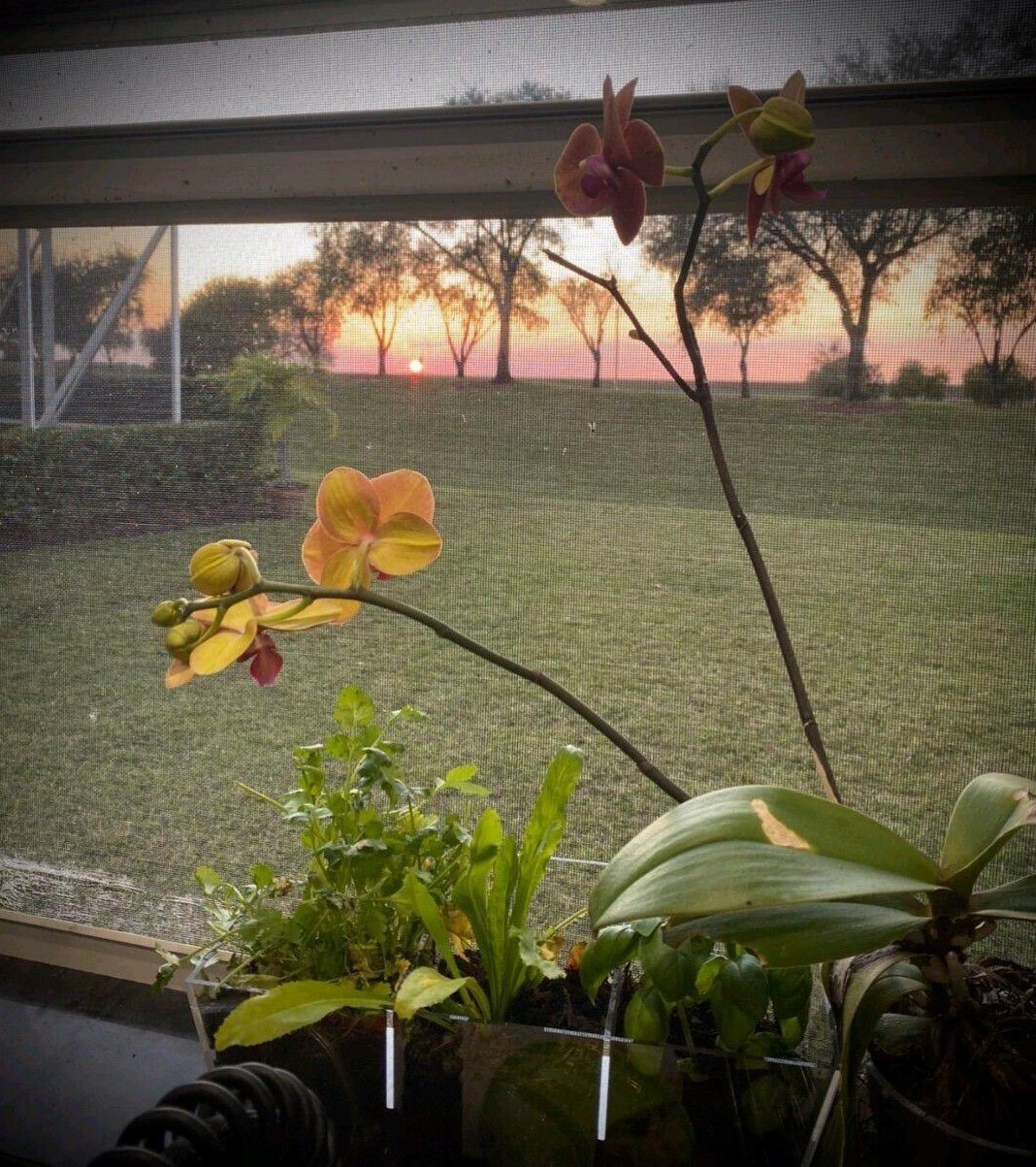 1751 Corsica Dr, West Palm Beach FL  33414-1046 exterior