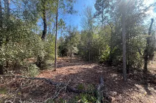 6291 Drake Ave, Keystone Heights, FL 32656 - Photo 1