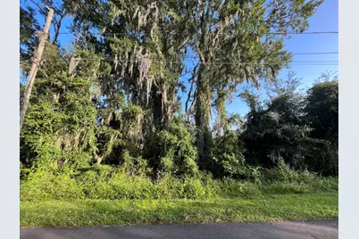 262 Toms Road, Debary, FL 32713 - Photo 2