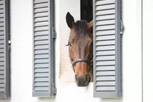 16361 Norris Rd, Wellington, FL 33470 - Photo 14