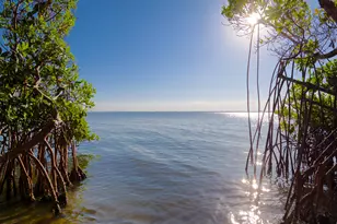 7683 Pelican Pointe Dr, Jensen Beach, FL 34957 - Photo 34